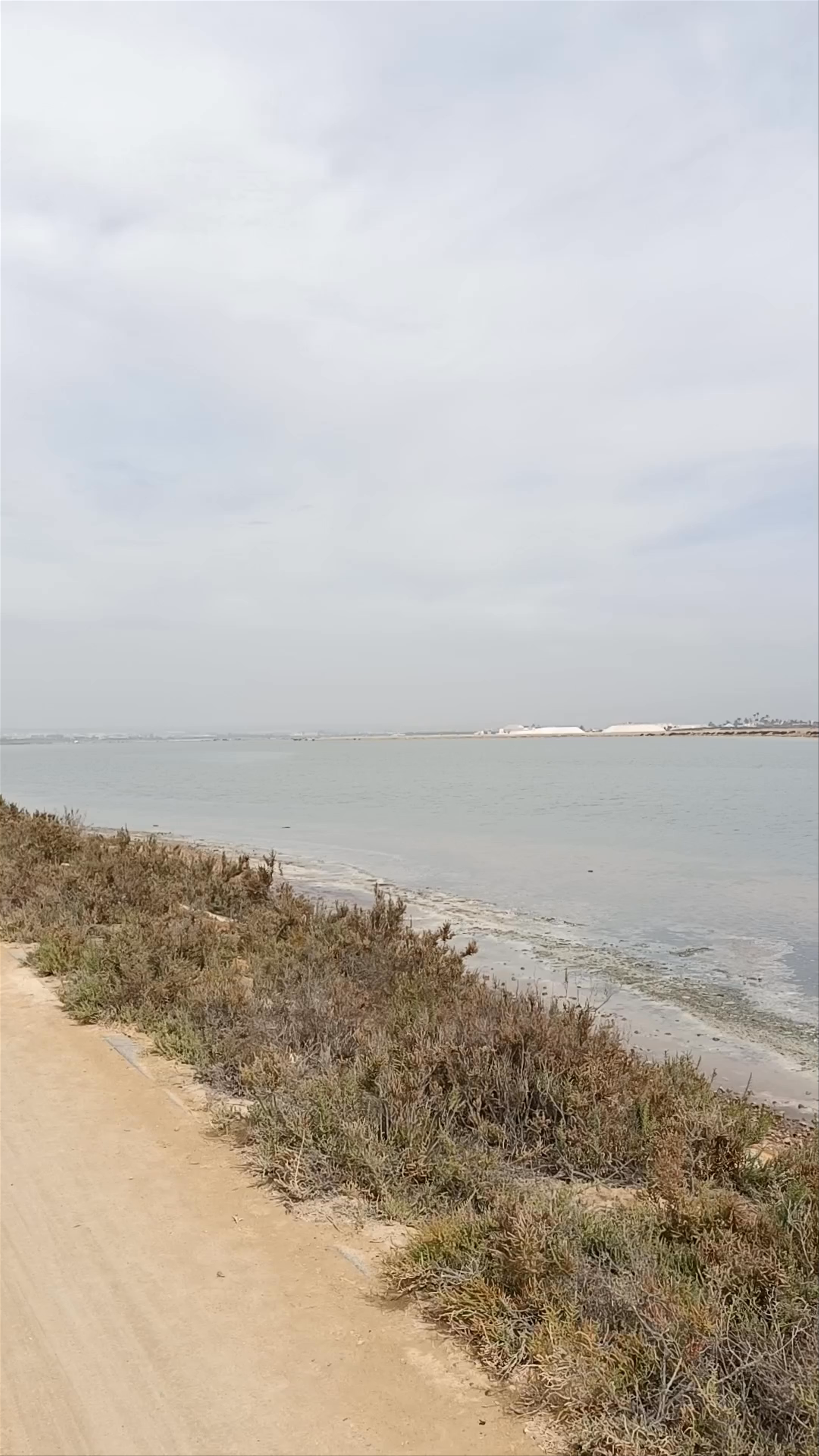 Peaceful Coastal Walk Along Camino Quintin, San Pedro del Pinatar