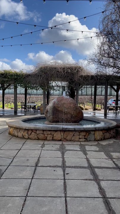 Delorimier Winery - Wineries Near Me - Geyserville, California