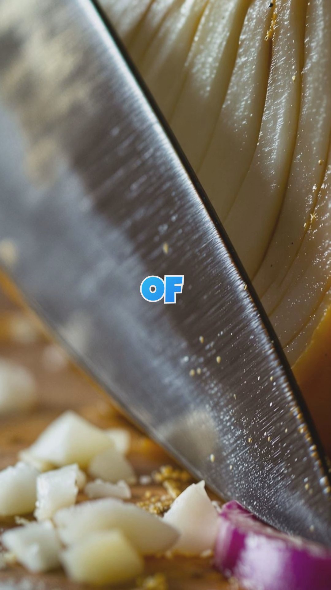 Cooking Basics: Essential Skills for Beginners