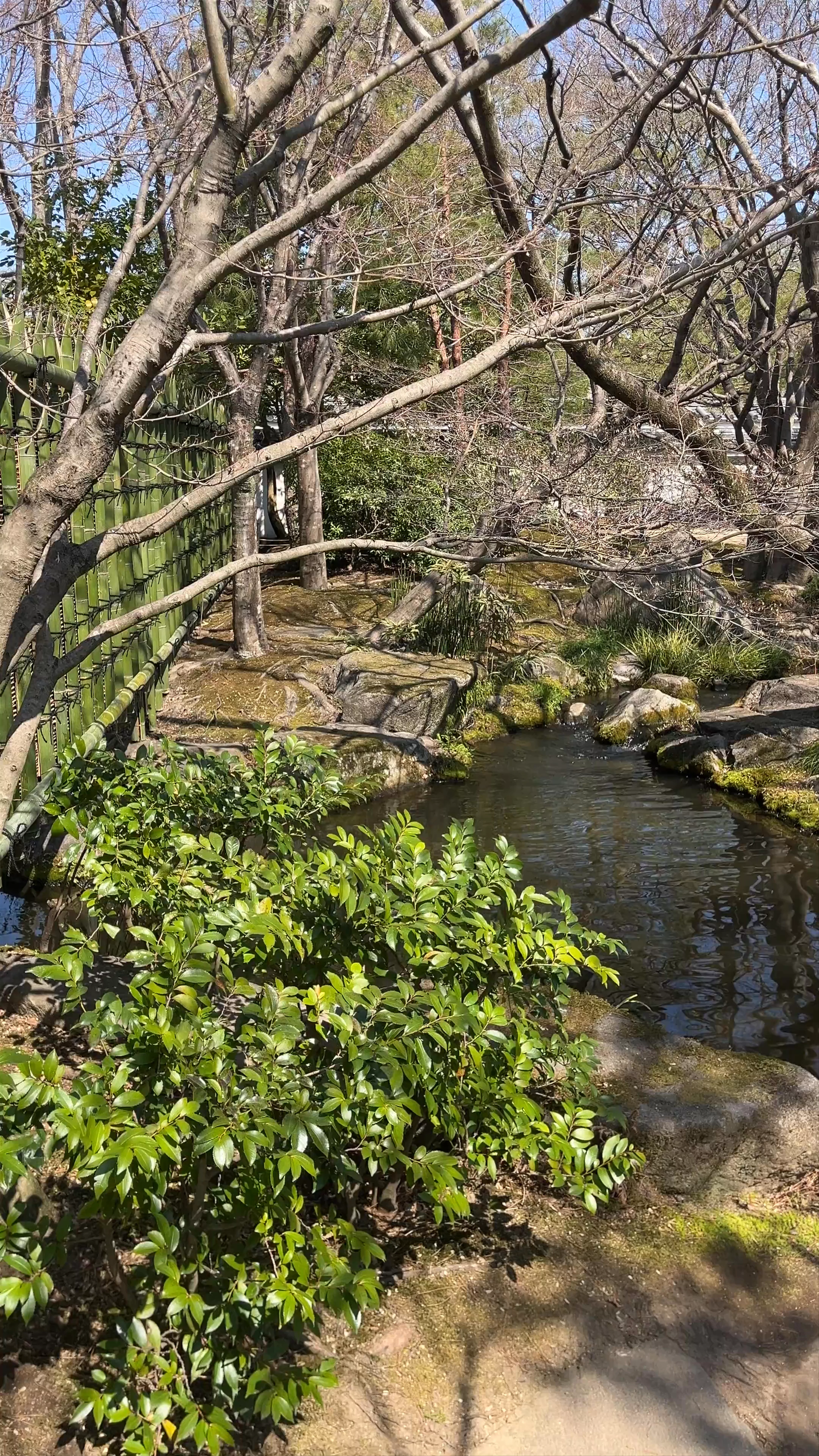 Summer Tree Garden