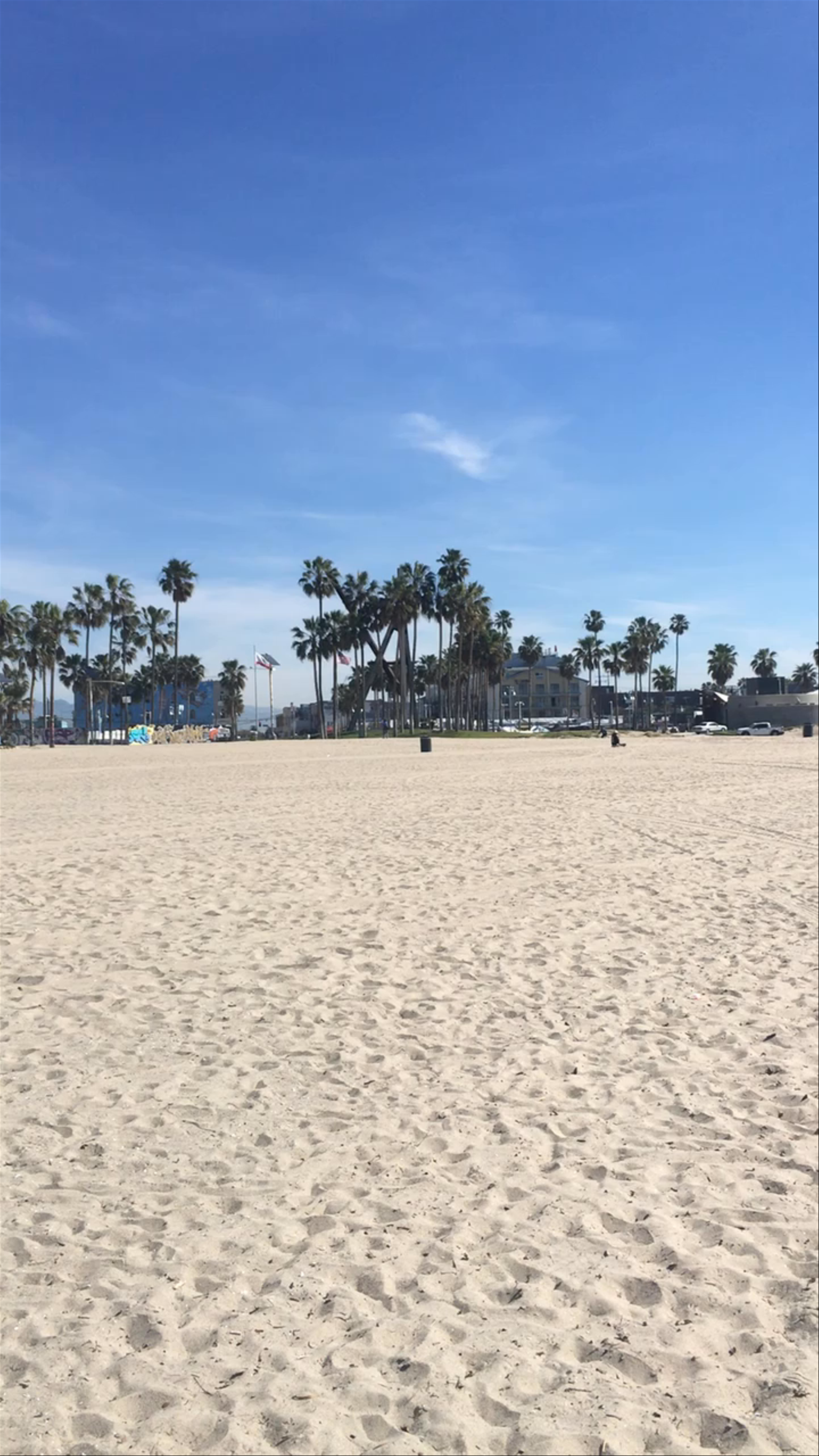 Venice Beach