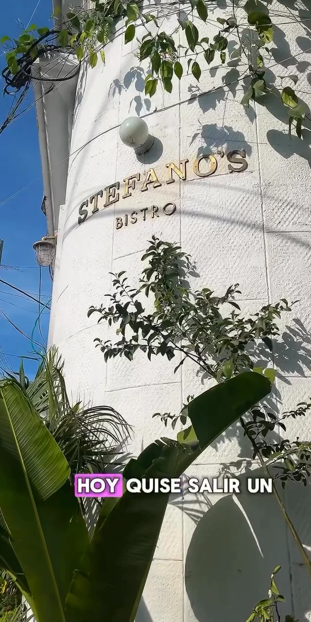Contenido del creador