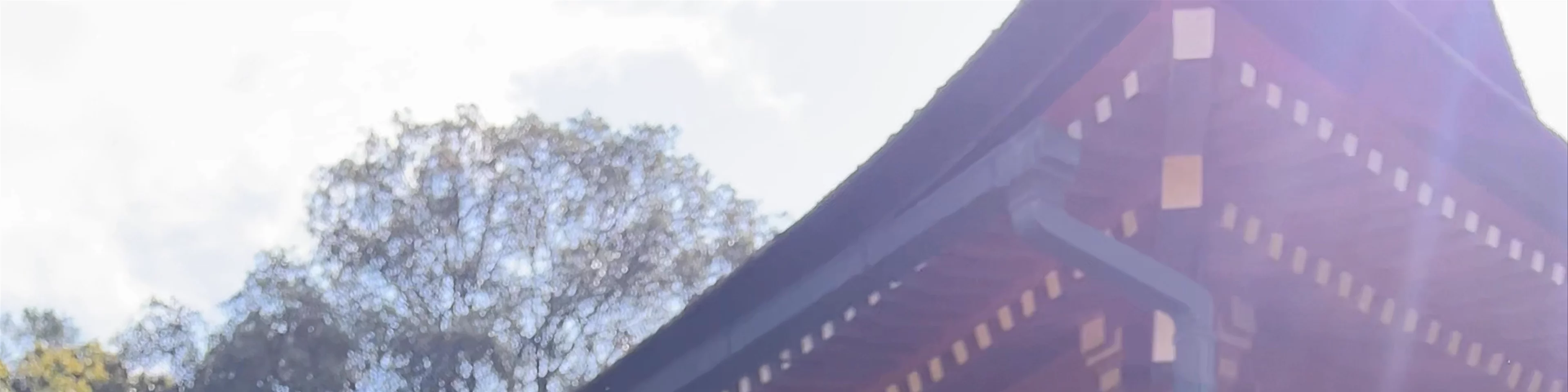 Kasuga Taisha Shrine