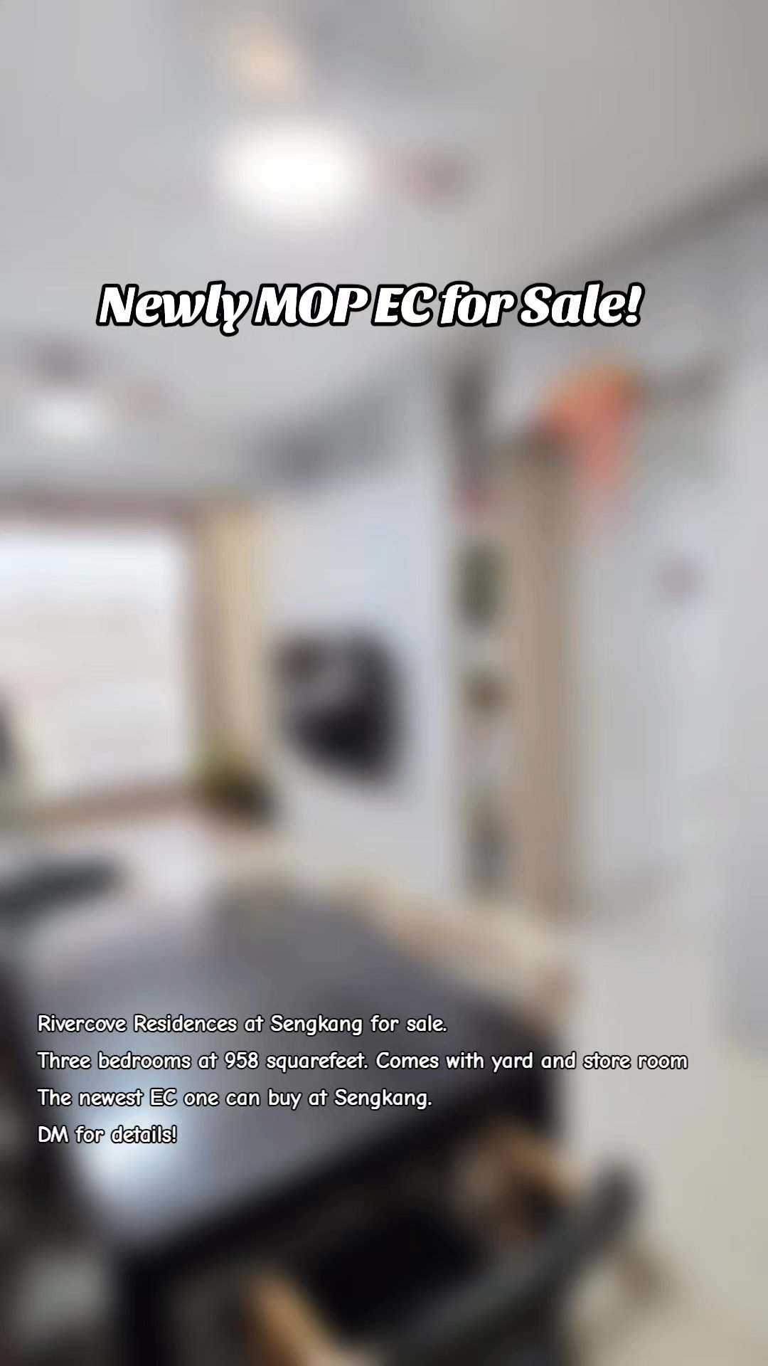 3 Bed Executive Condo for Sale in  Rivercove Residences - Image 9