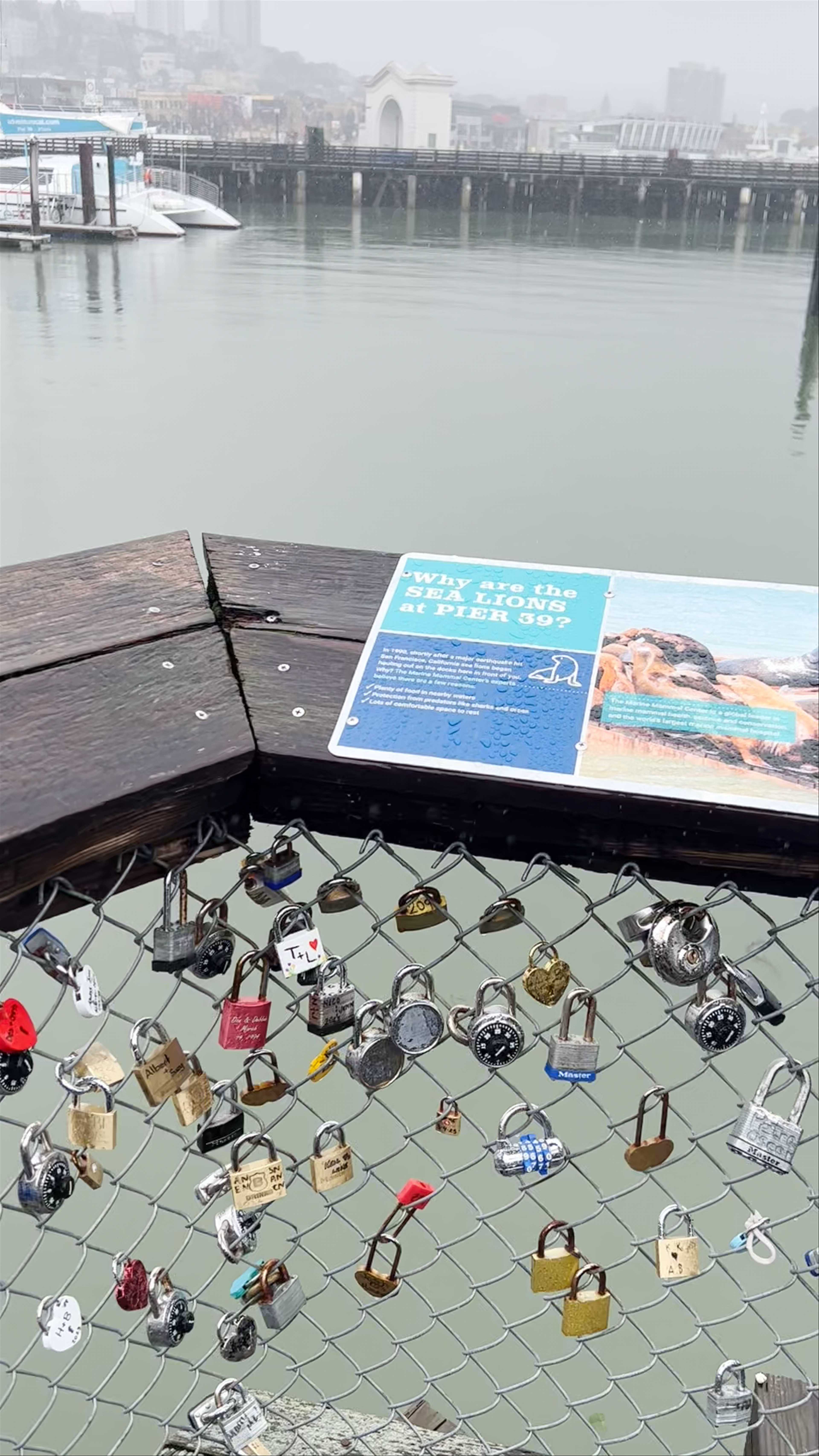 PIER 39
