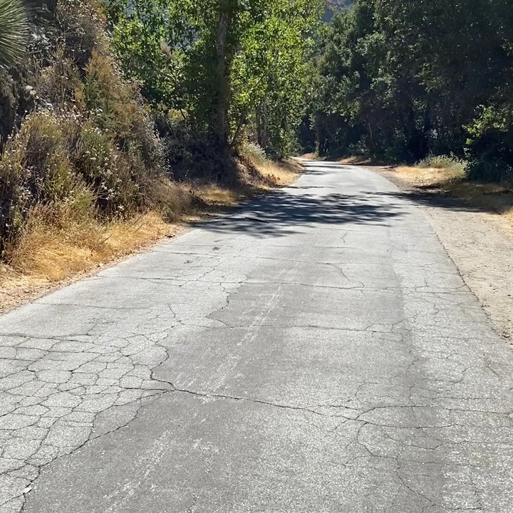 West Fork Trail - Rattle snake on the trail - Hiking Near Me - Azusa, California