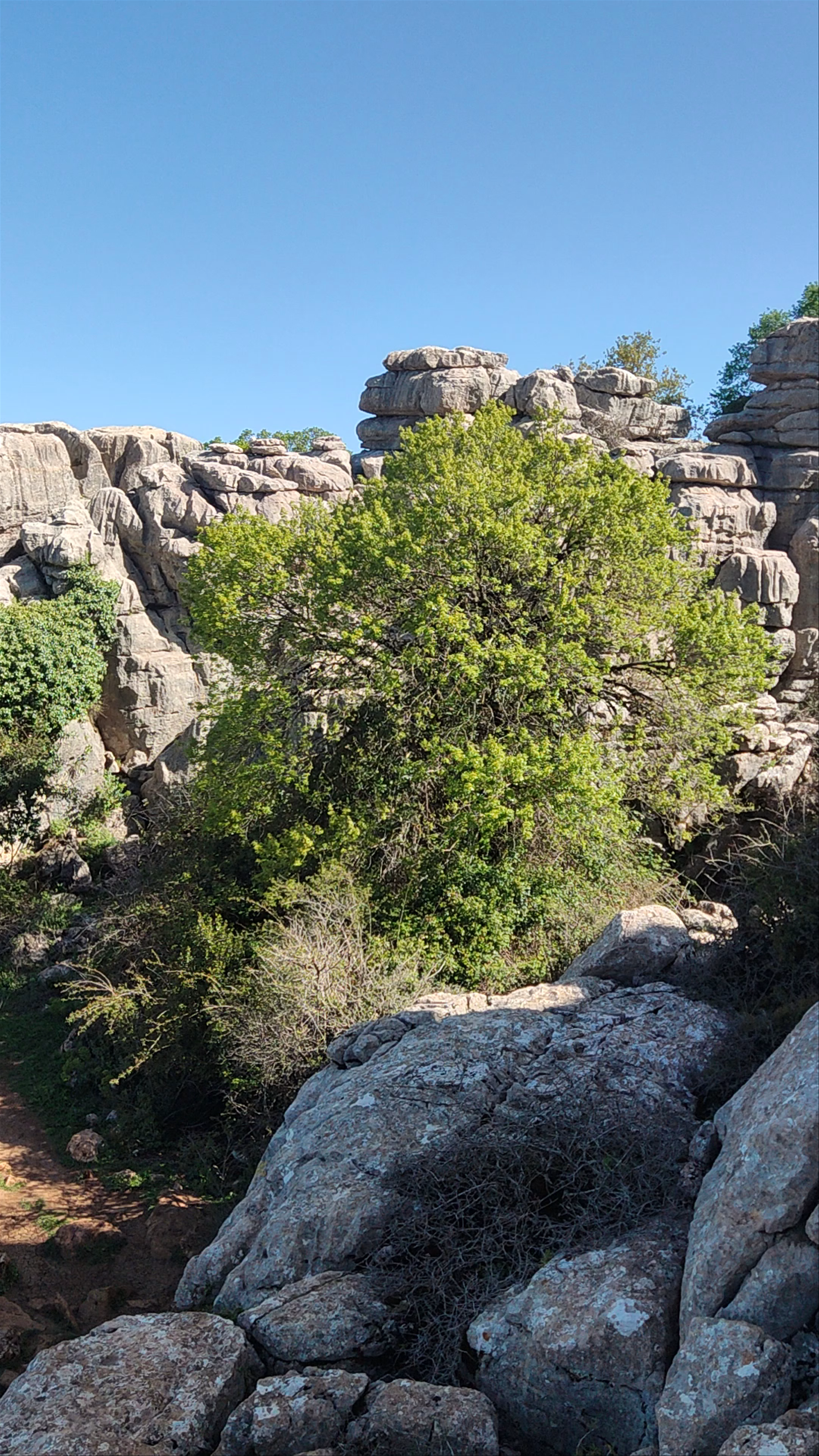 El Torcal de Antequera: Breathtaking Natural Limestone Formations in Andalucía