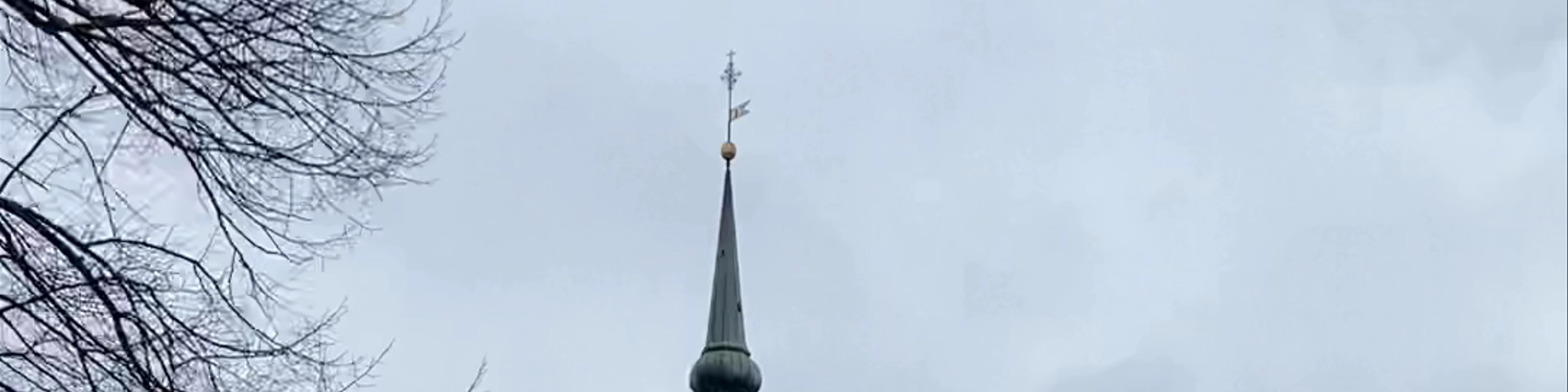 Alexander Nevsky Cathedral