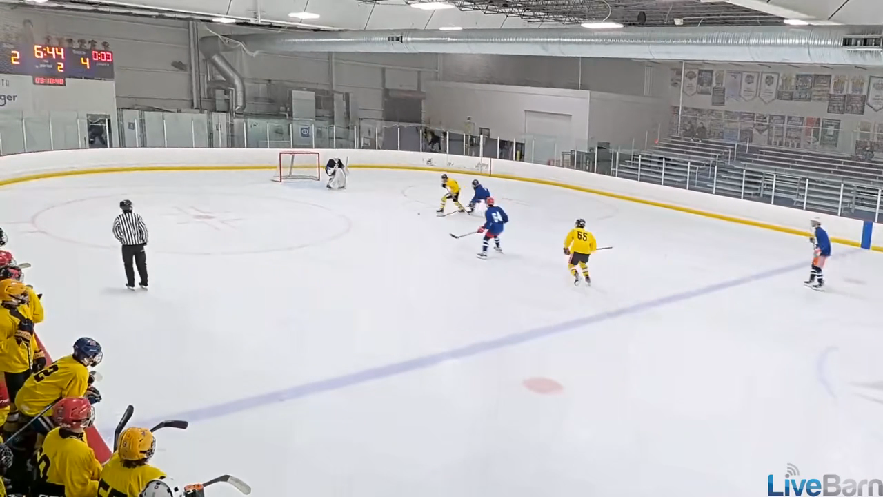 Tyler Wingenroth: Saucer Pass Leads to a Shorthanded Goal for MidAm 15O Maize