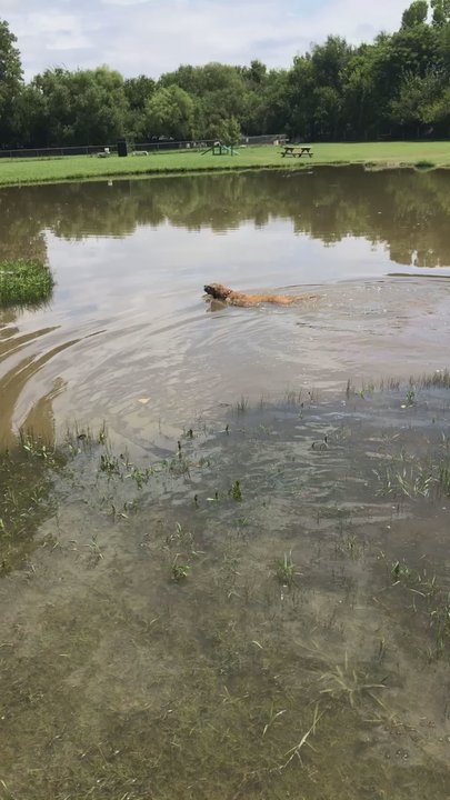 Pets And People Dog Park - Dog Parks Near Me - Yukon, Oklahoma