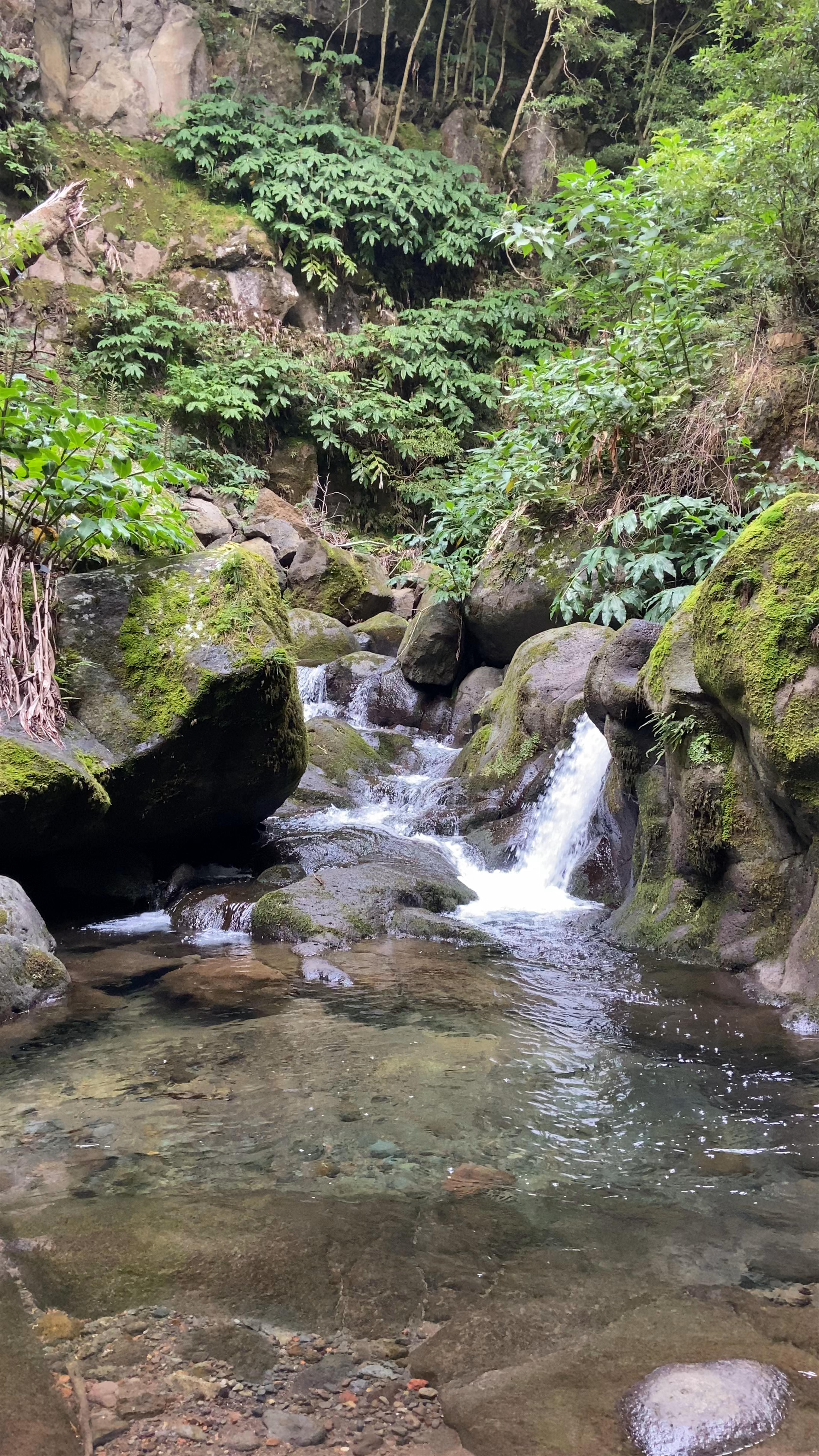 Salto do Prego: Serene Waterfall Escape in the Azores
