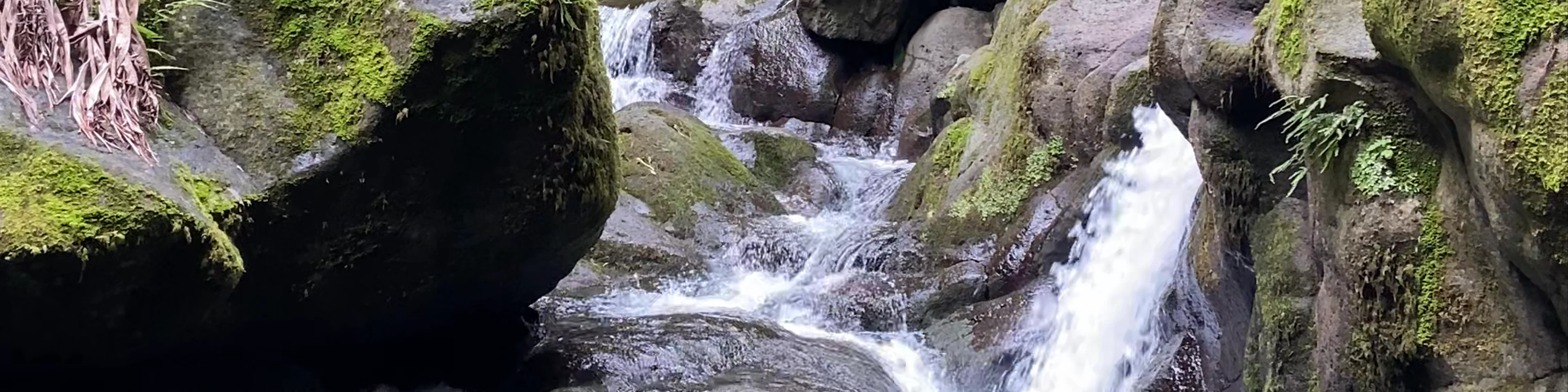 Salto do Prego