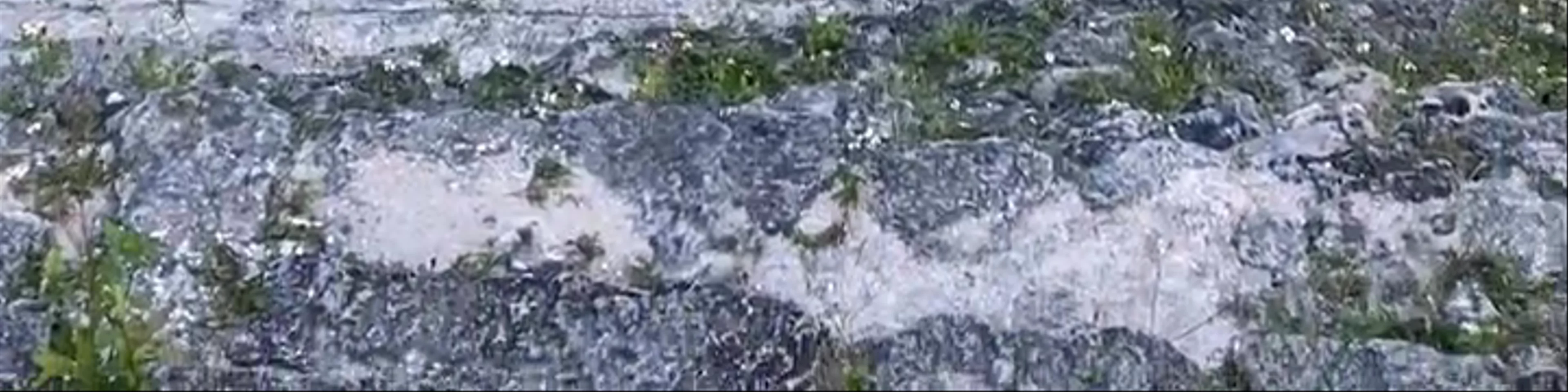Sitio Arqueologico Yaxha