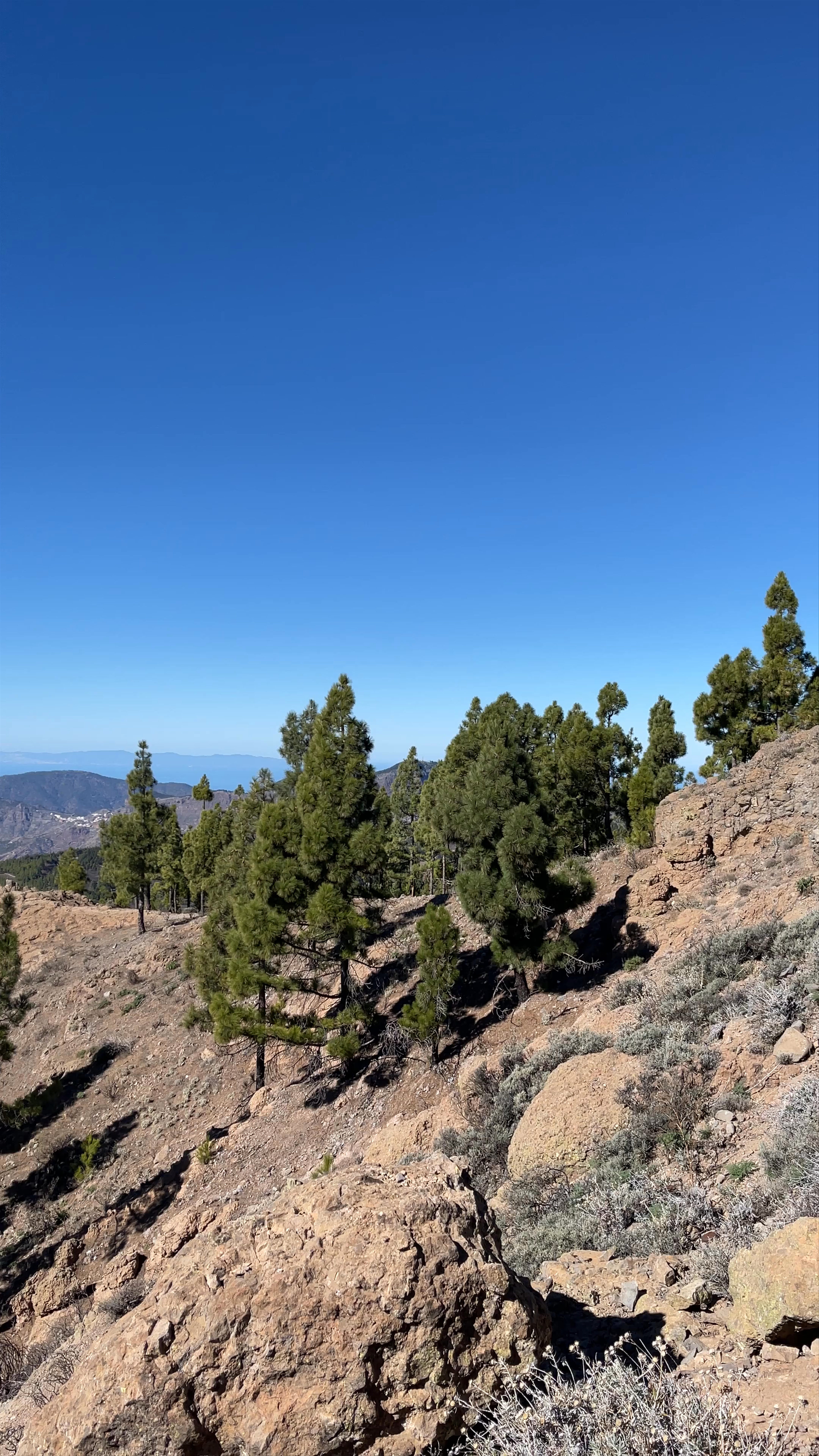 Pico de las Nieves