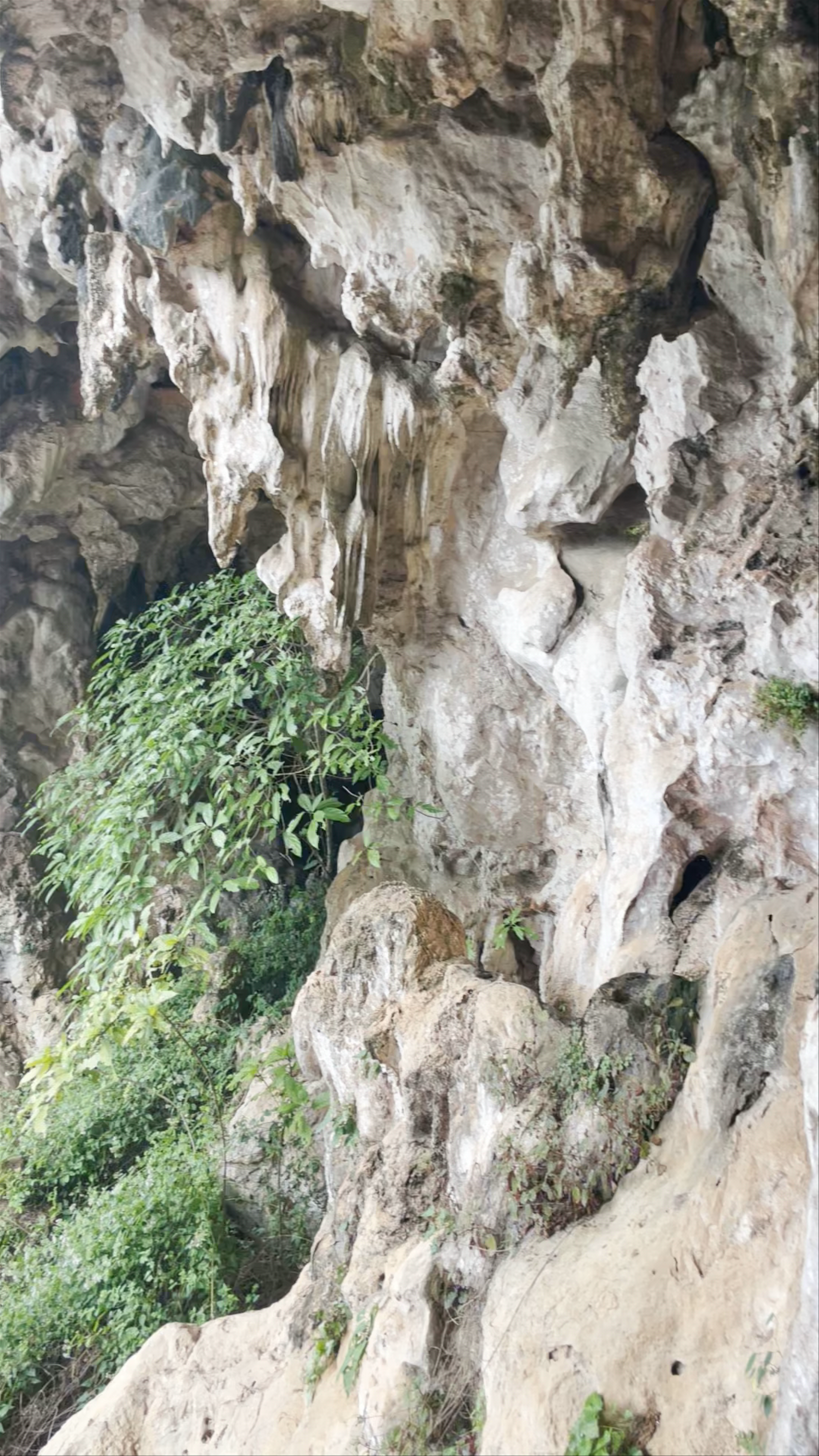 Khao Sok National Park