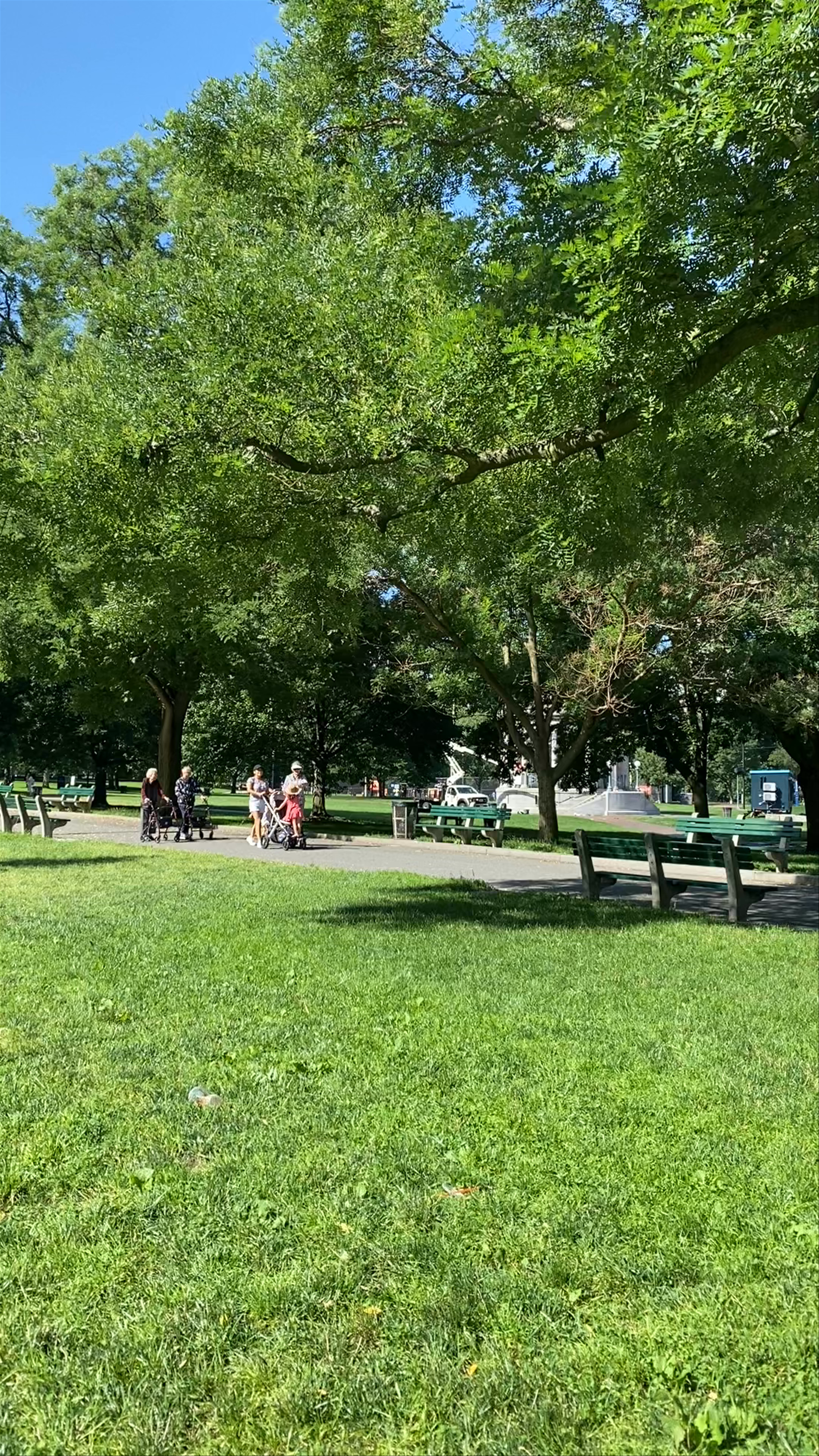 Boston Common: Urban Oasis in the Heart of Boston
