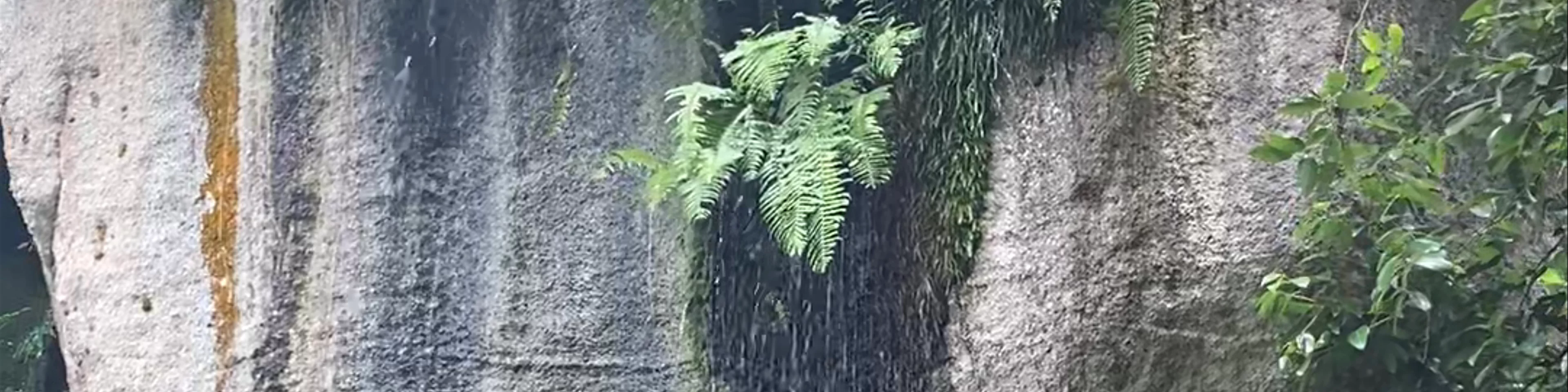 Vallée des fruits