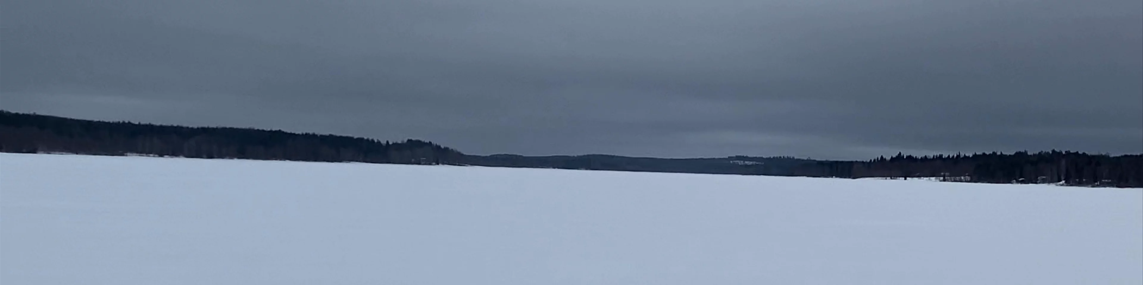Wild About Lapland