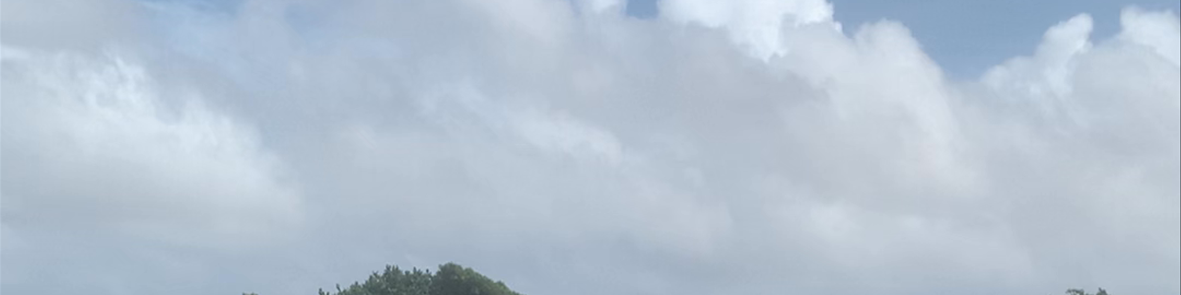 Aruba