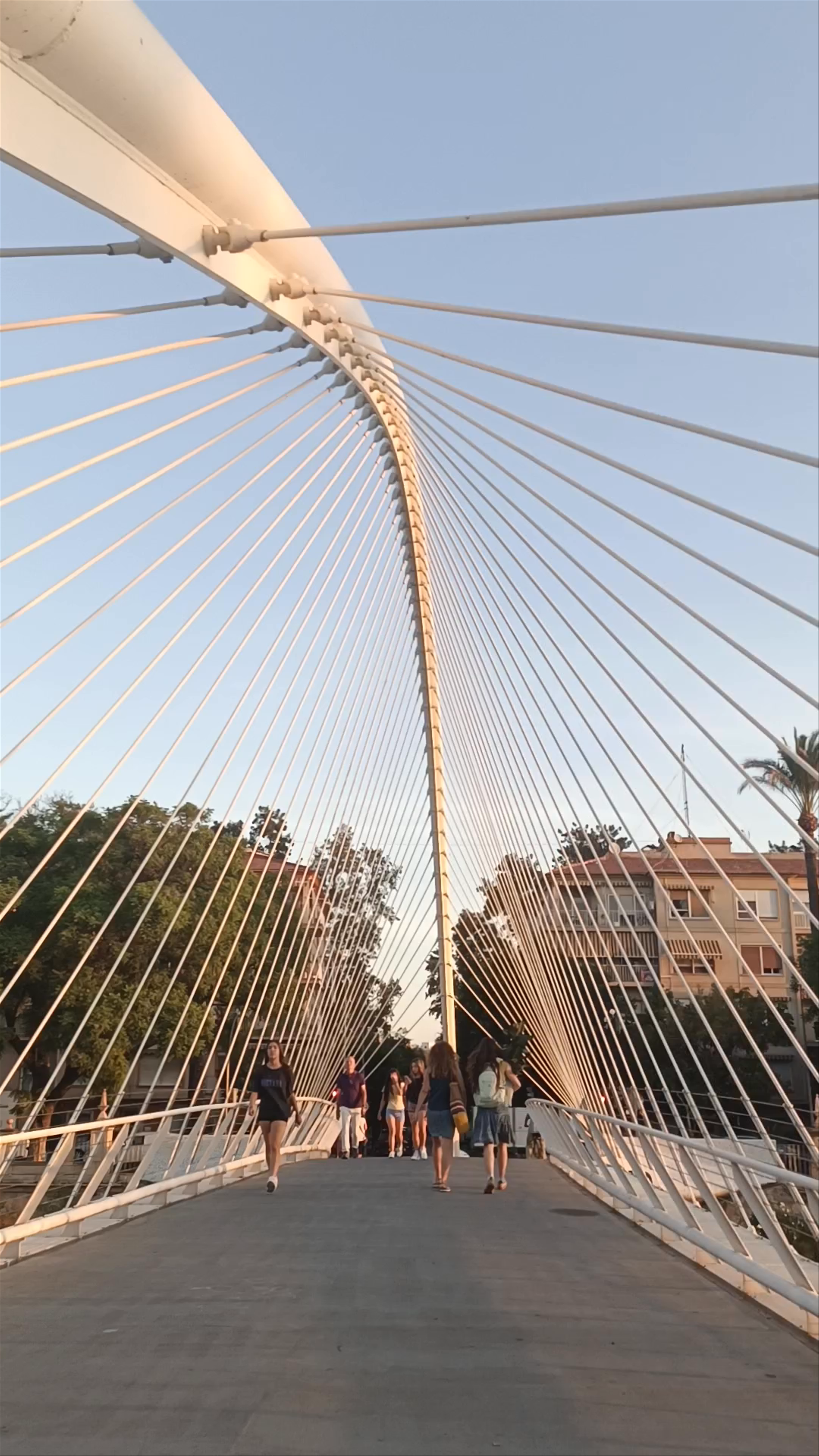 Rio Segura