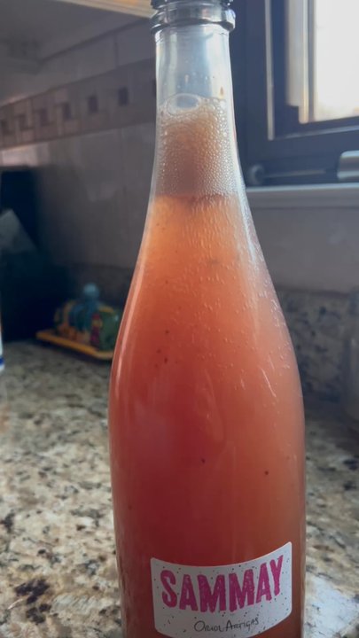 Angels Ate Lemons - Natural wine fizz - Beer, Wine & Spirits Near Me - Baltimore, Maryland