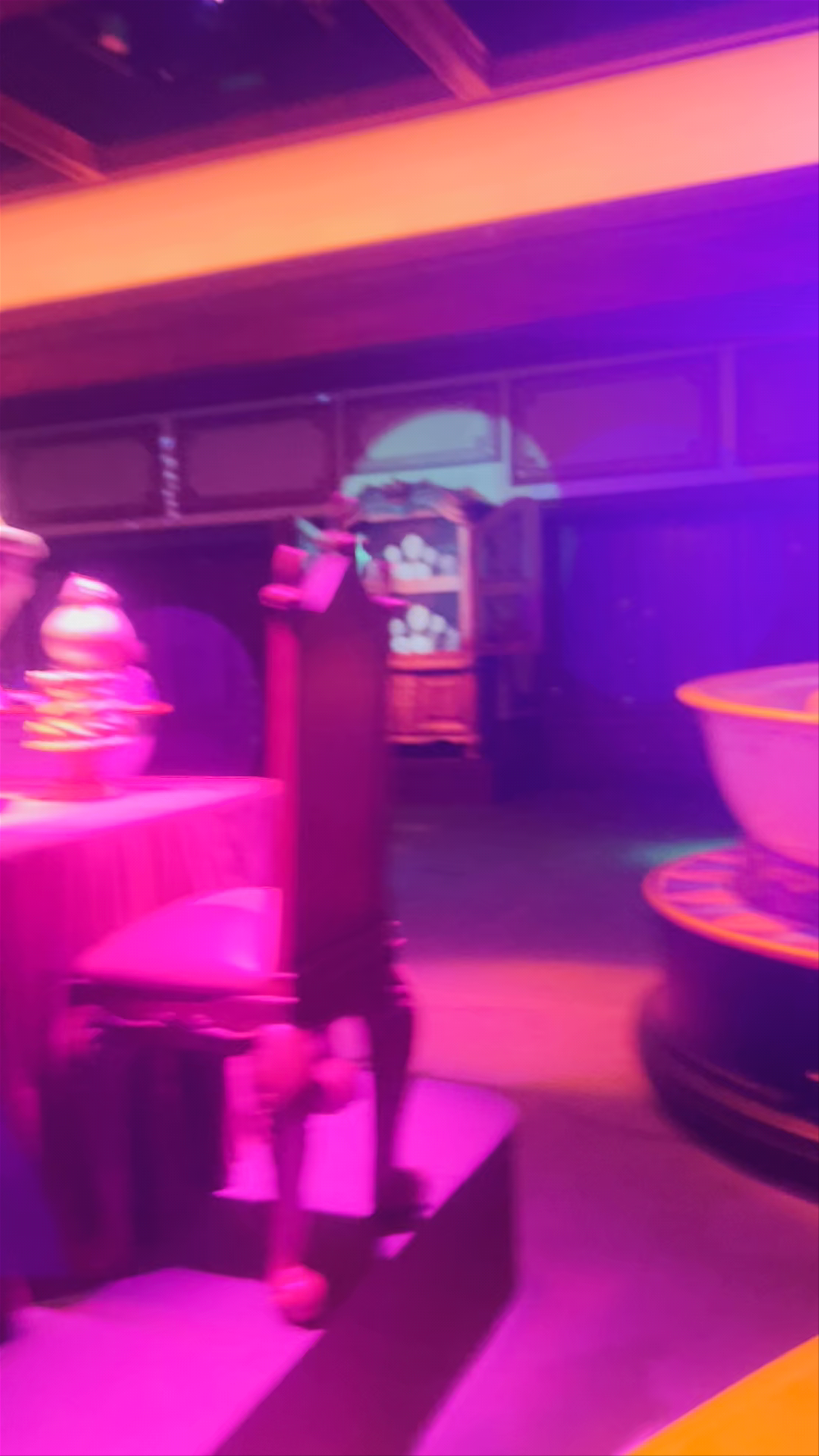 Tokyo Disneyland