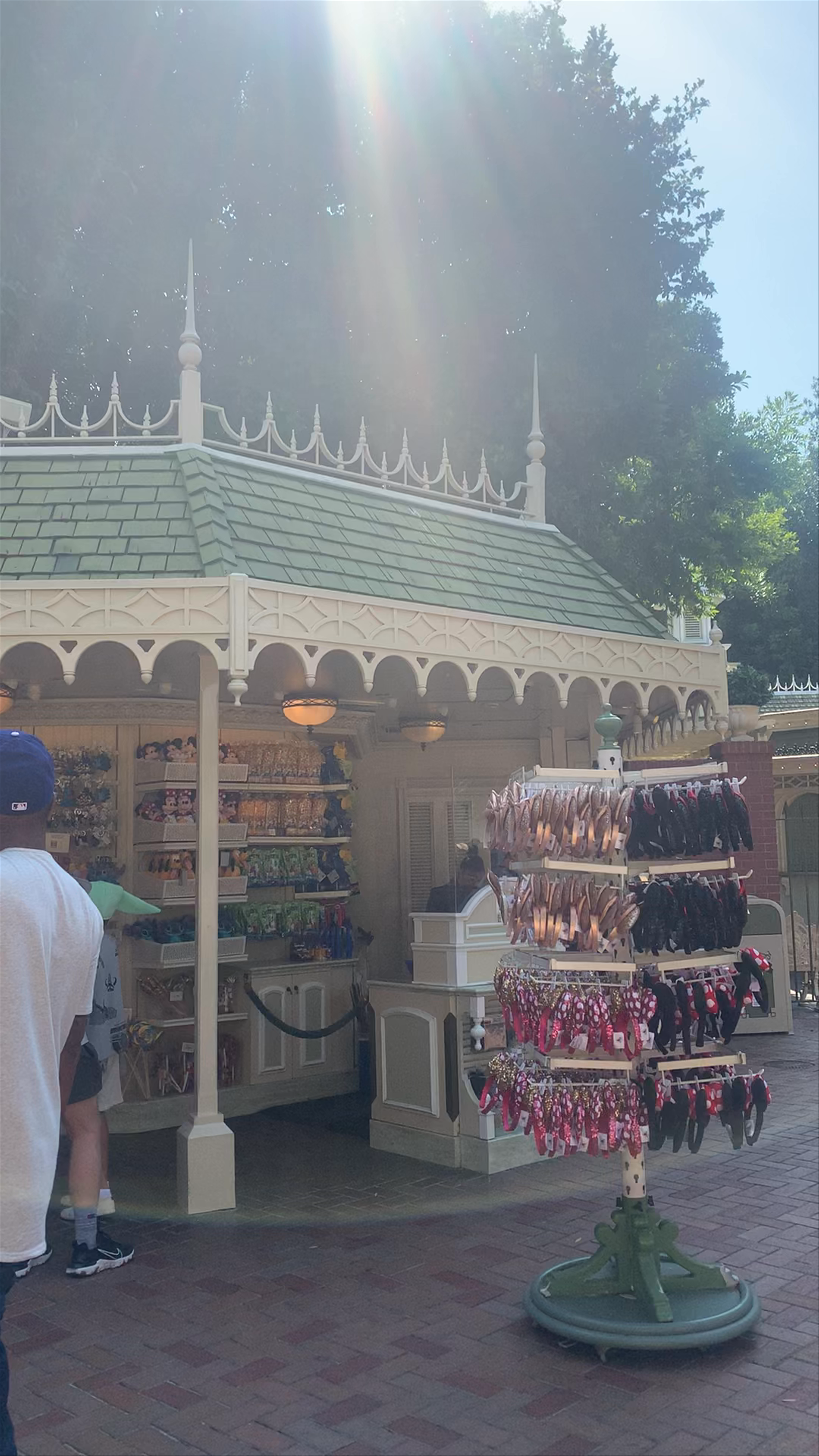 Sunny Day Walk at Disneyland Park Anaheim