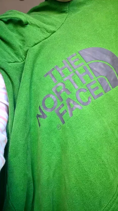 The North Face Hoodie image 1