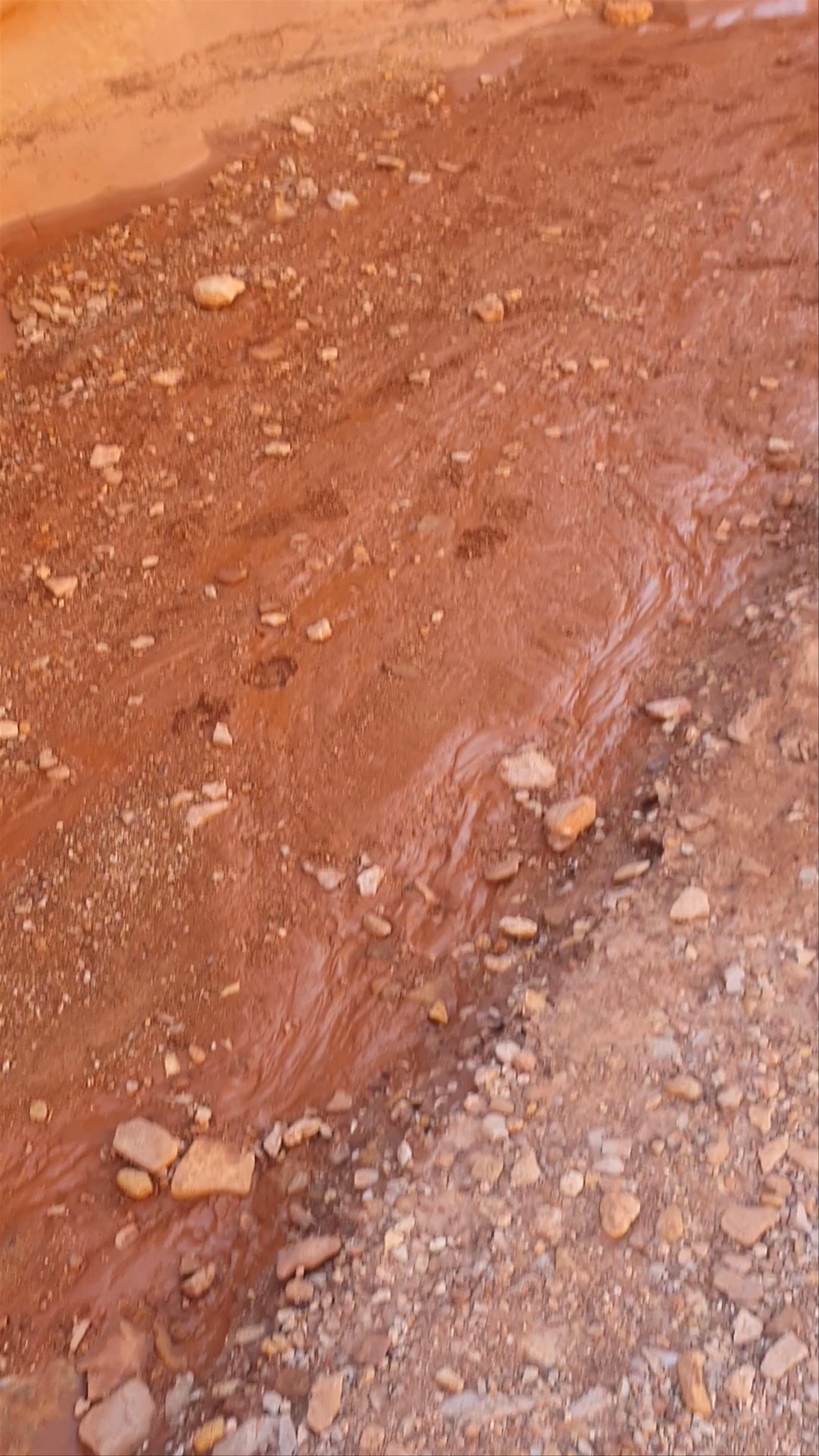 Grand Wash, Capitol Reef