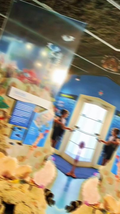 Reef Ocean Exploration Center - Visitor Centers Near Me - Key Largo, Florida