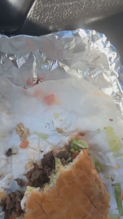 Zacatacos - Metal fiber in my food - Mexican Near Me - Berwyn, Illinois