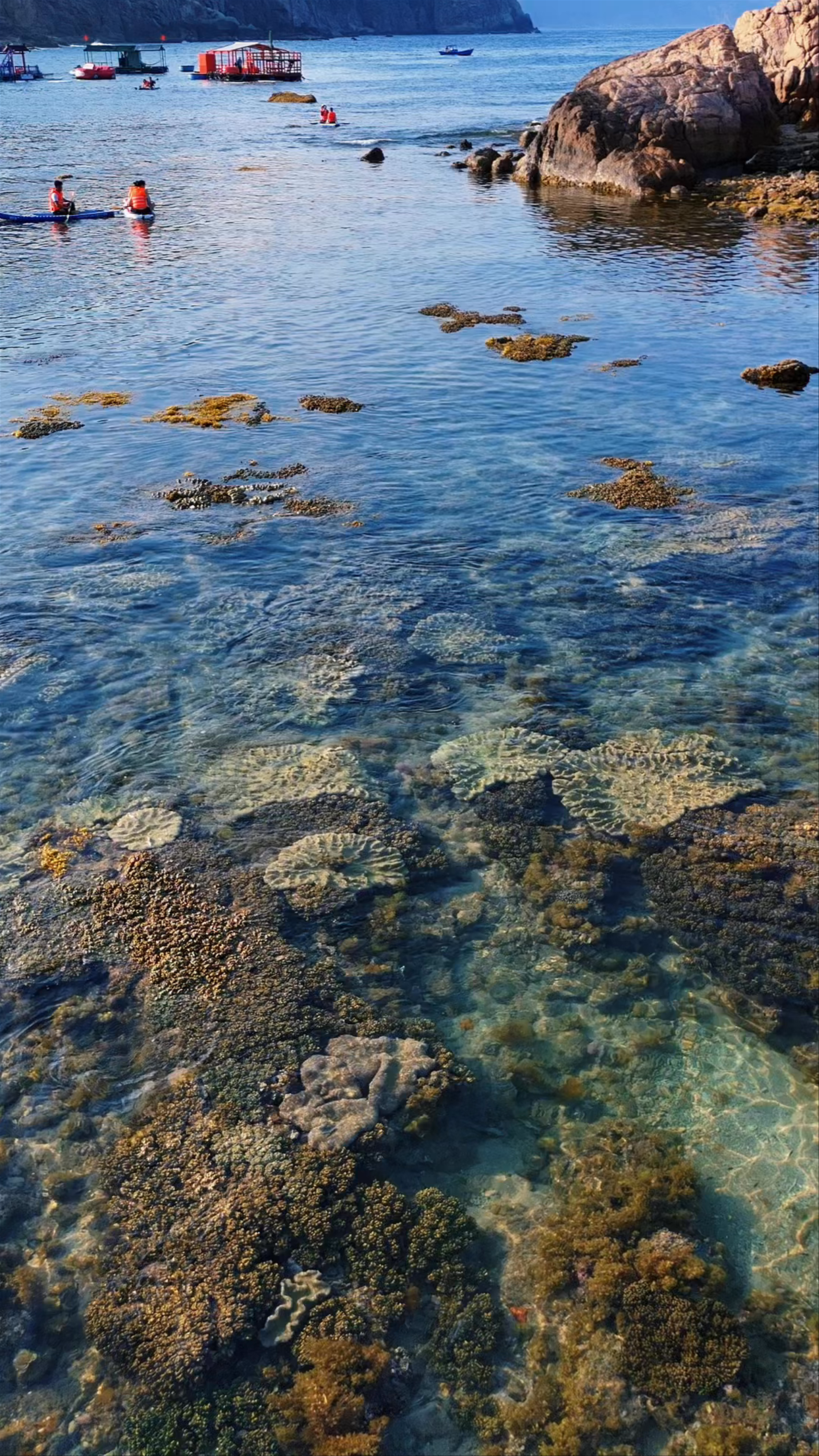 Crystal Clear Waters and Vibrant Coral Reefs at Hòn Khô, Vietnam