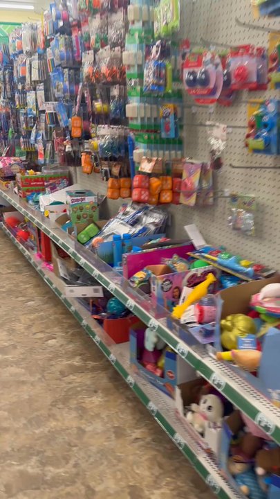 Dollar Tree - Inside - Discount Store Near Me - Edison, New Jersey