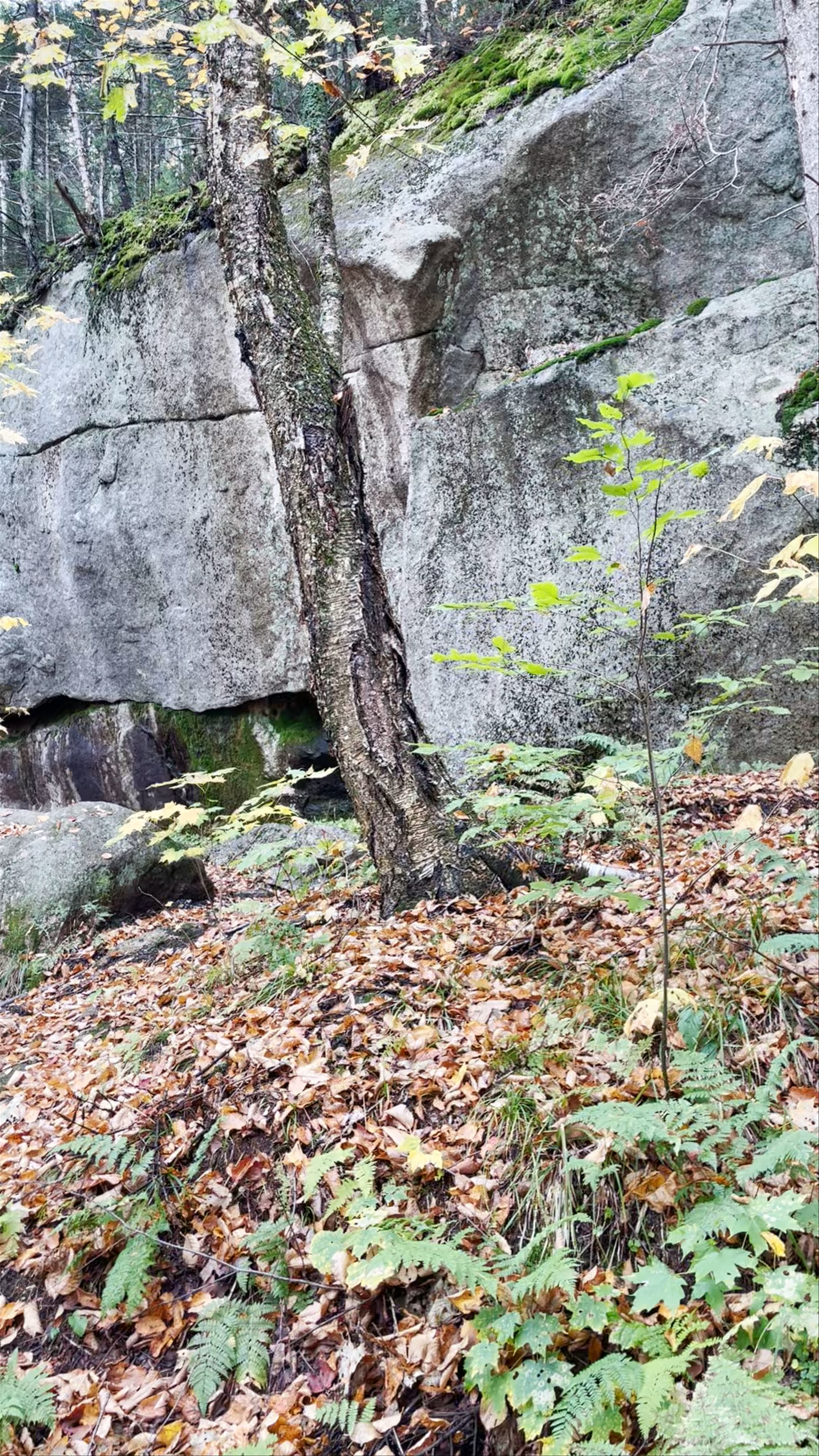 Muraille des Glaces - Sentier des Cimes - Parc National du Mont-Mégantic