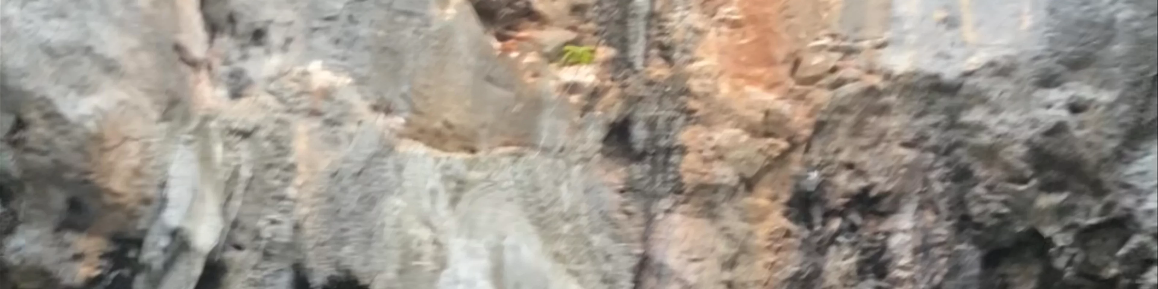 Monkey Beach
