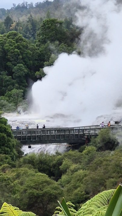 Te Puia - Museums Near Me - Rotorua, BOP