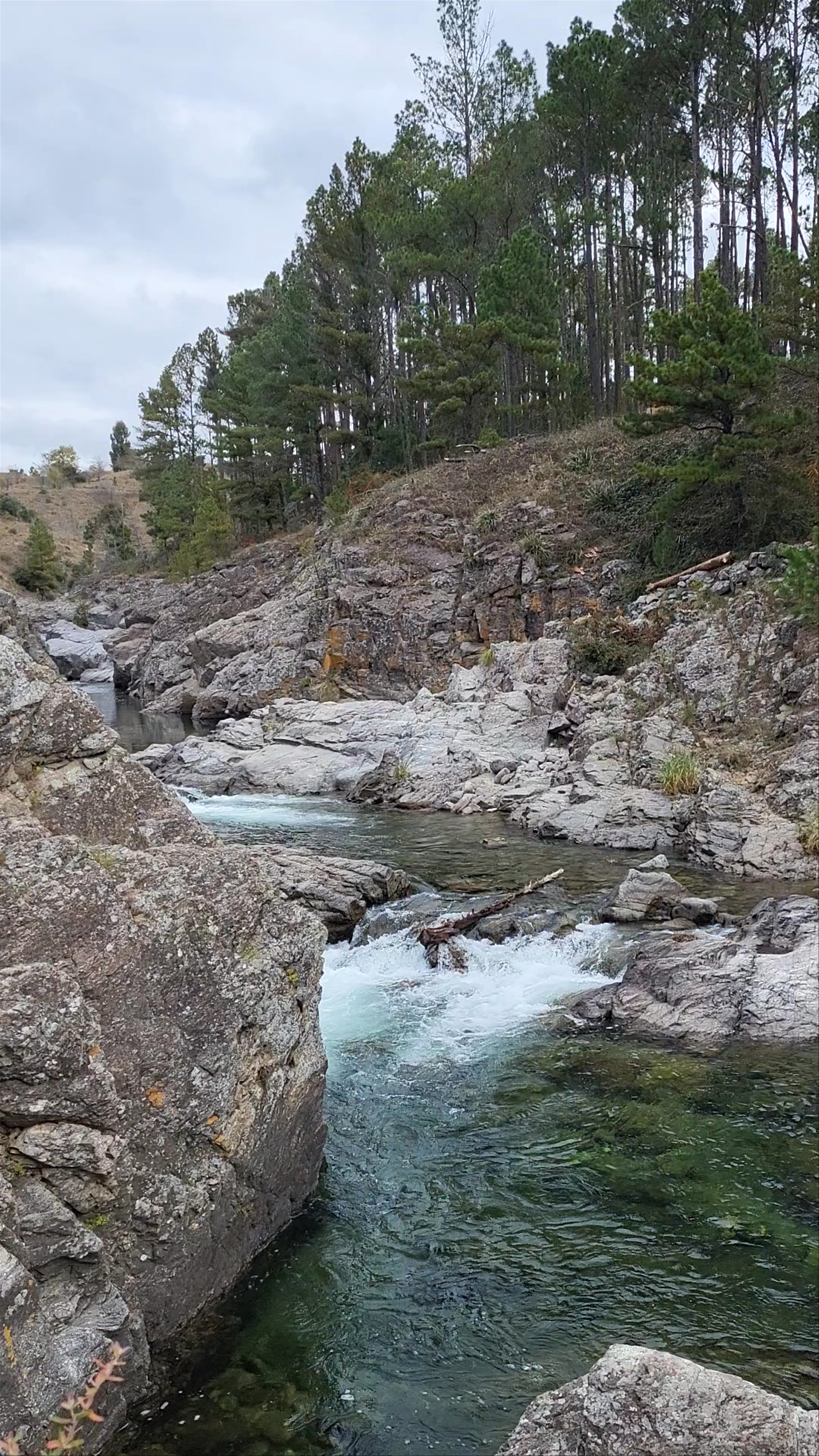 Los cajones del durazno