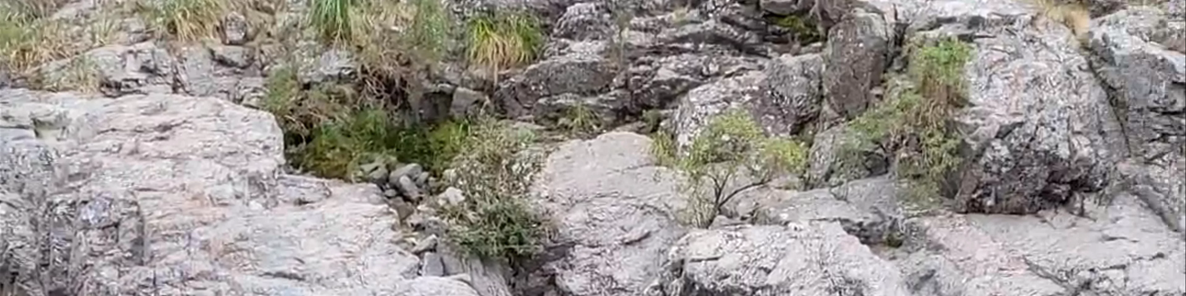 Los cajones del durazno