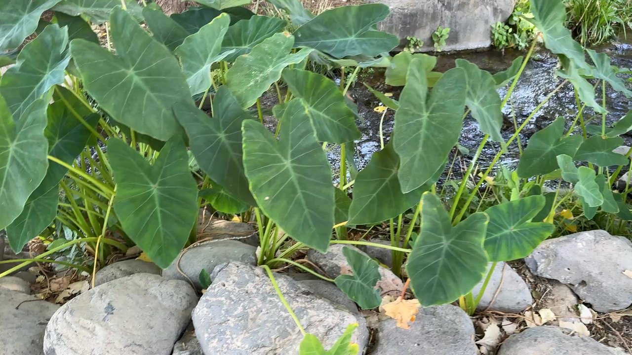 DA RANCH - Updated February 2026 - 381 Photos & 154 Reviews - 1901 N ...