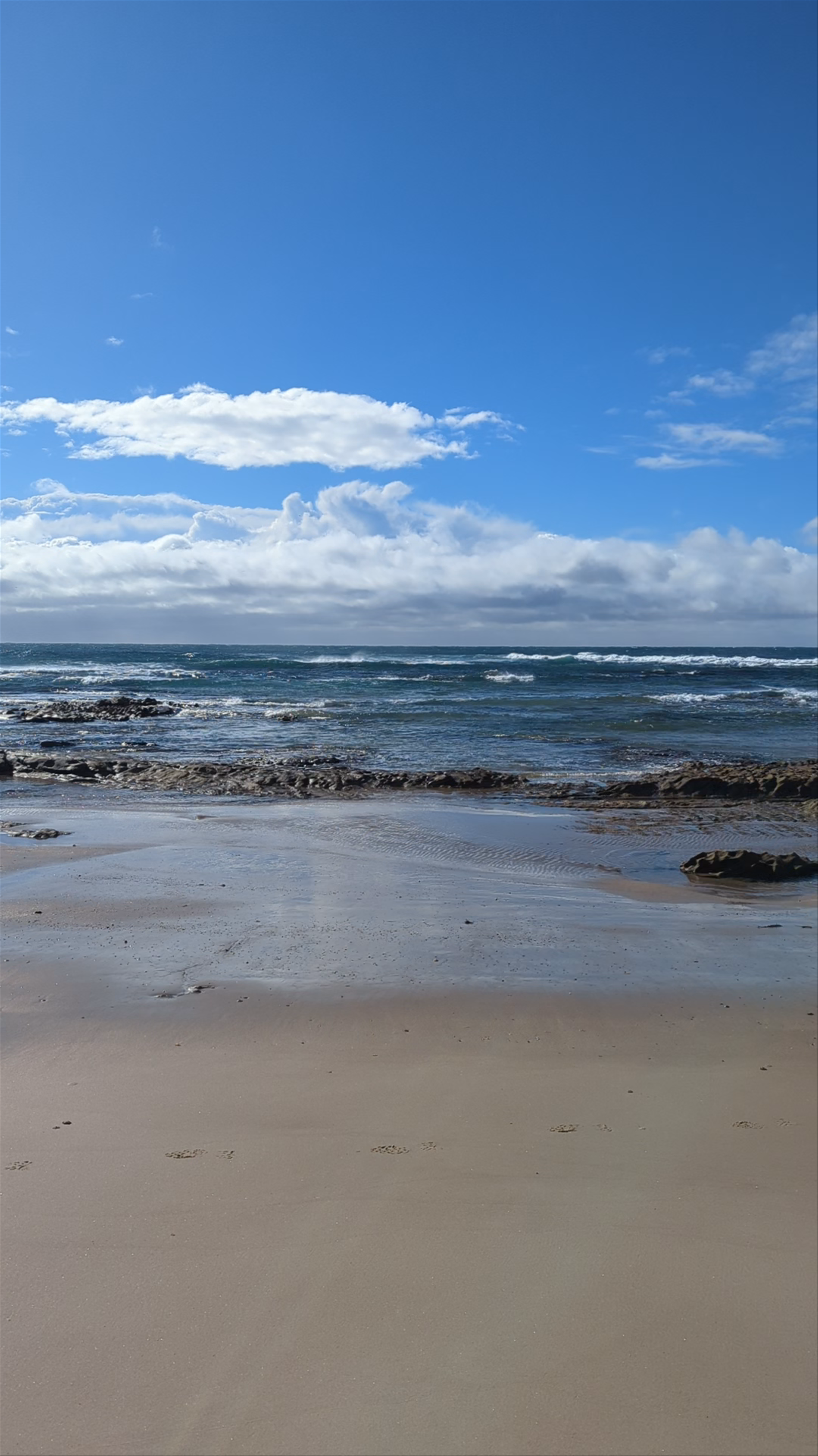 Shelly Beach