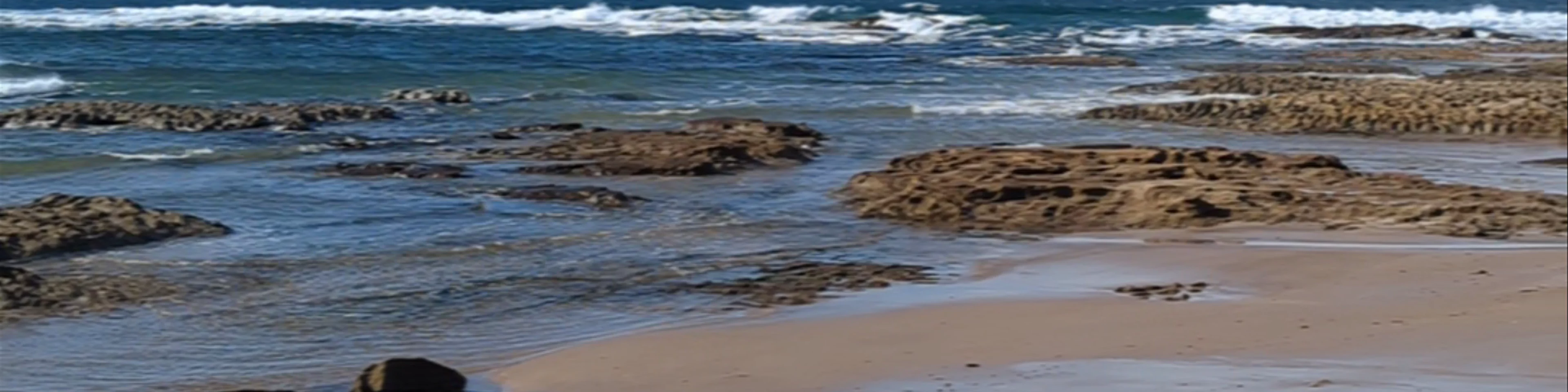 Shelly Beach
