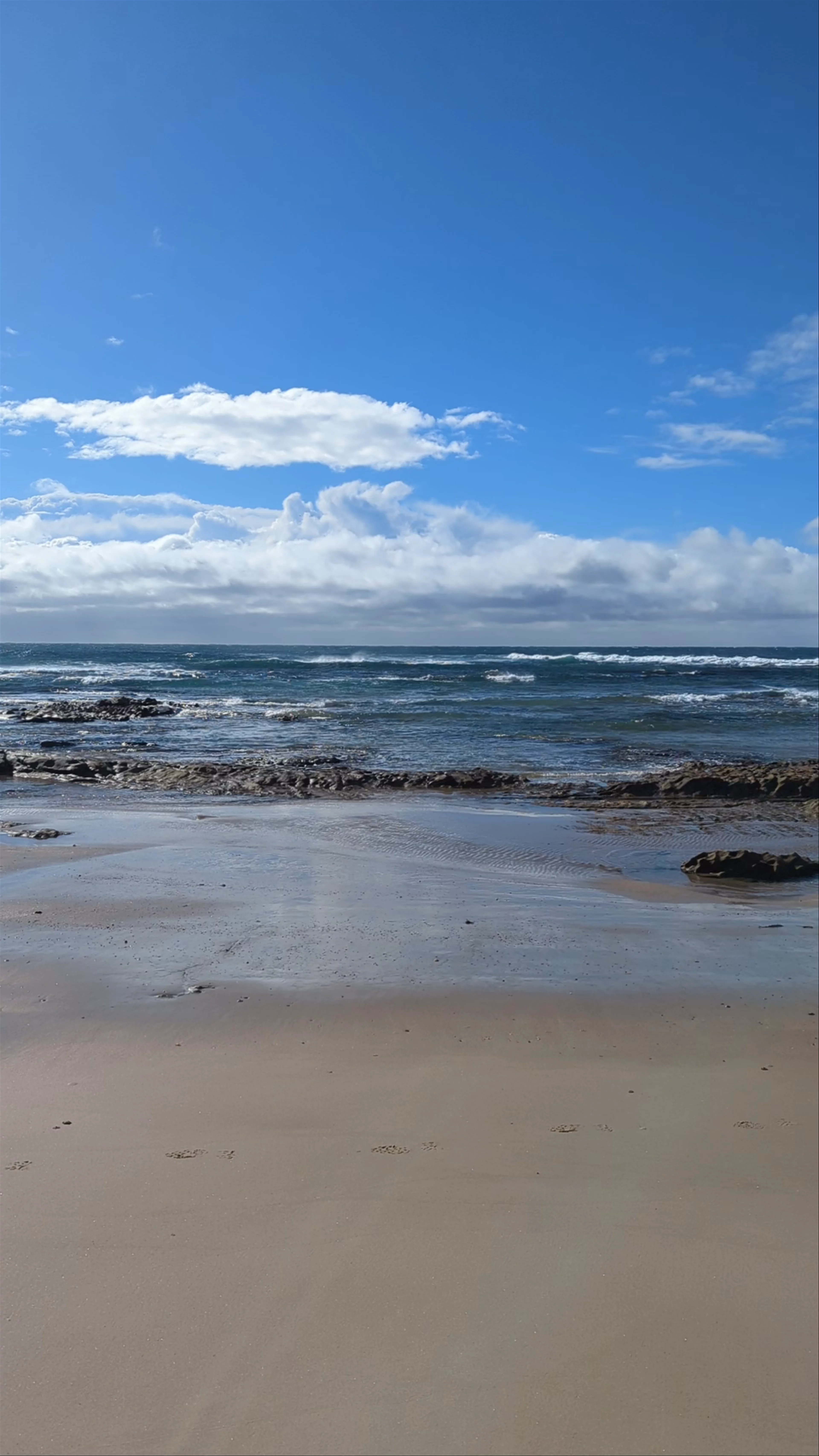 Shelly Beach