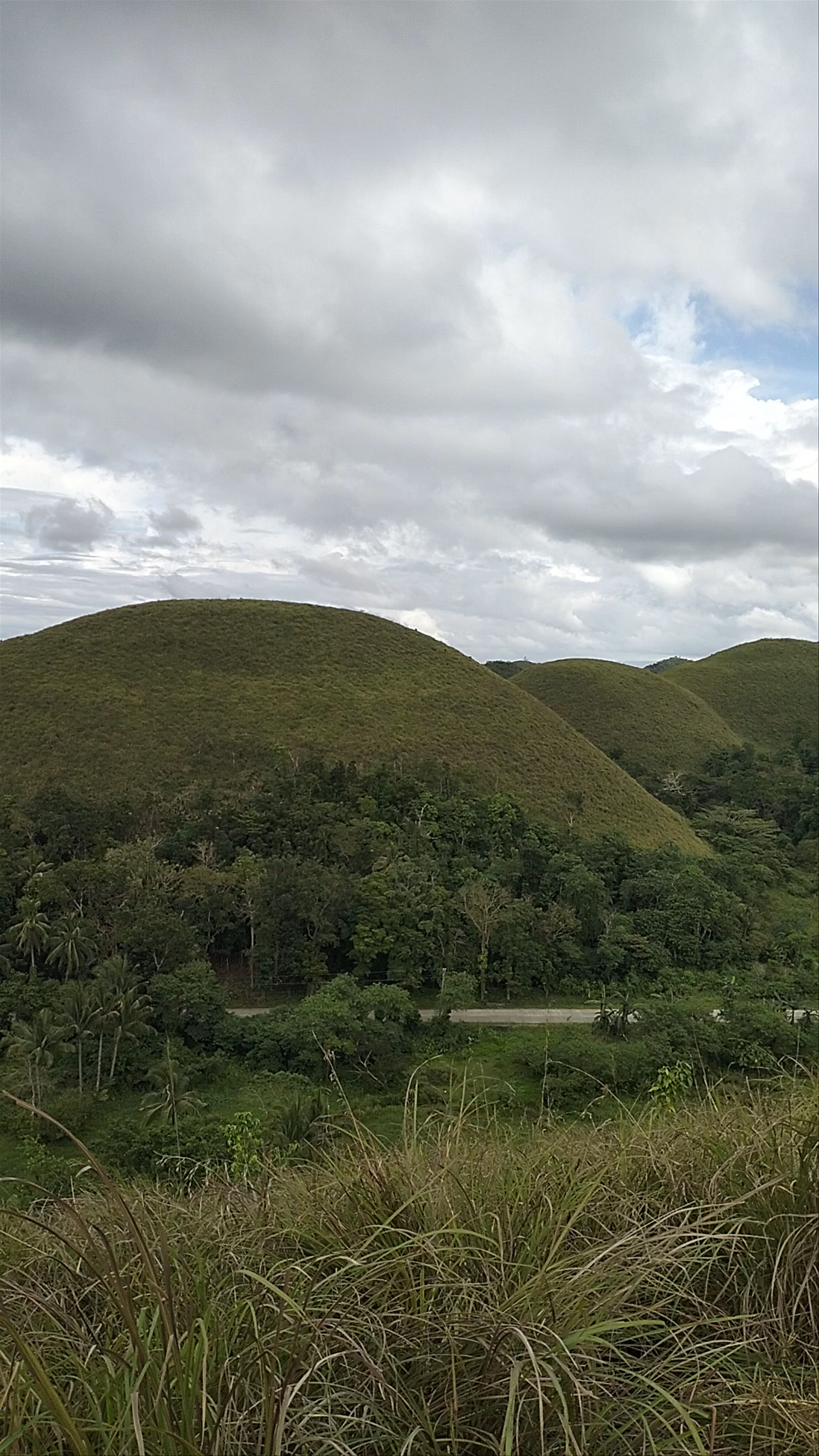 Chocolate Hills View Point
