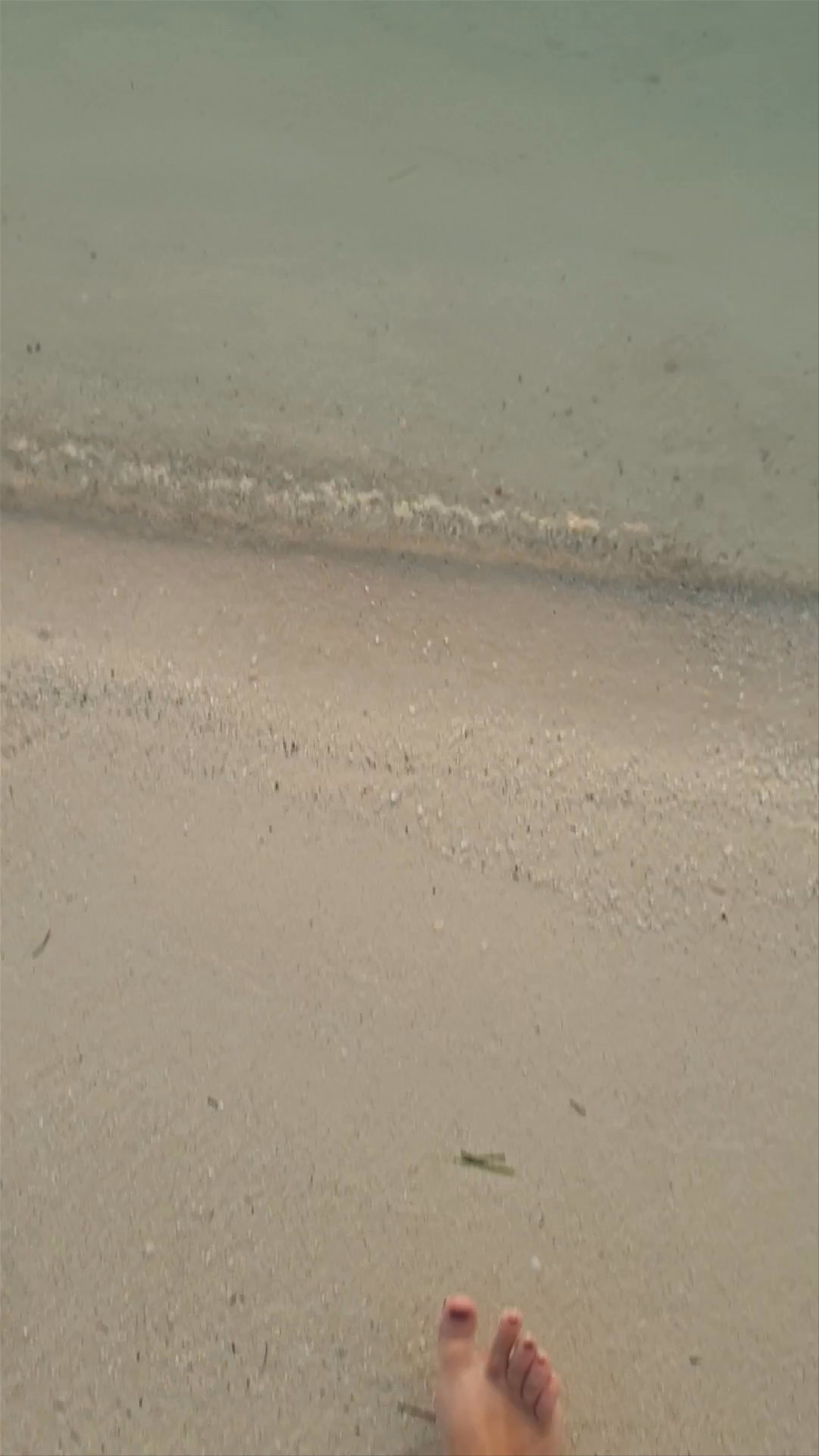 Northside Beach Club (previously Koko King)