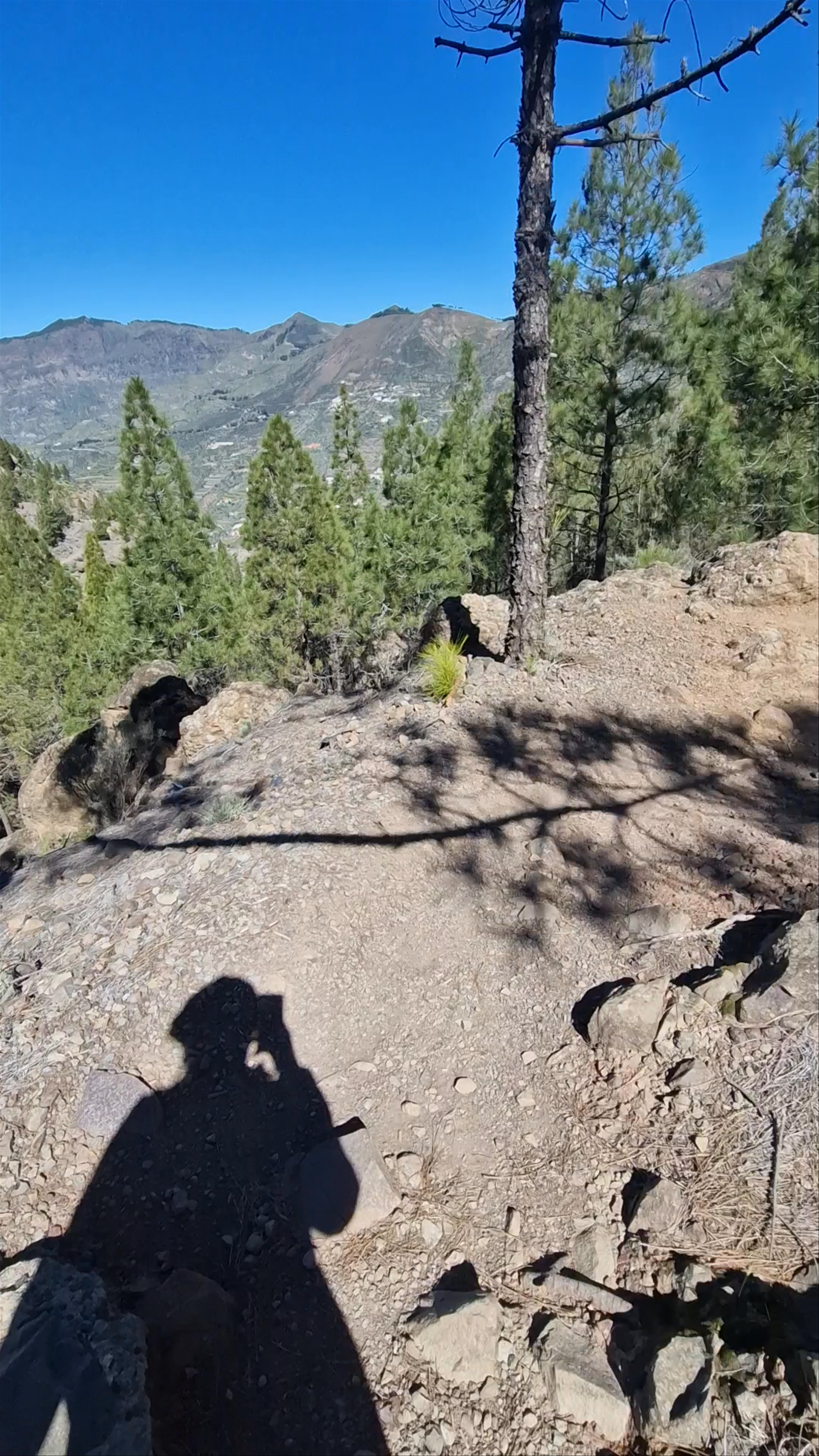 Caminito Roque Nublo