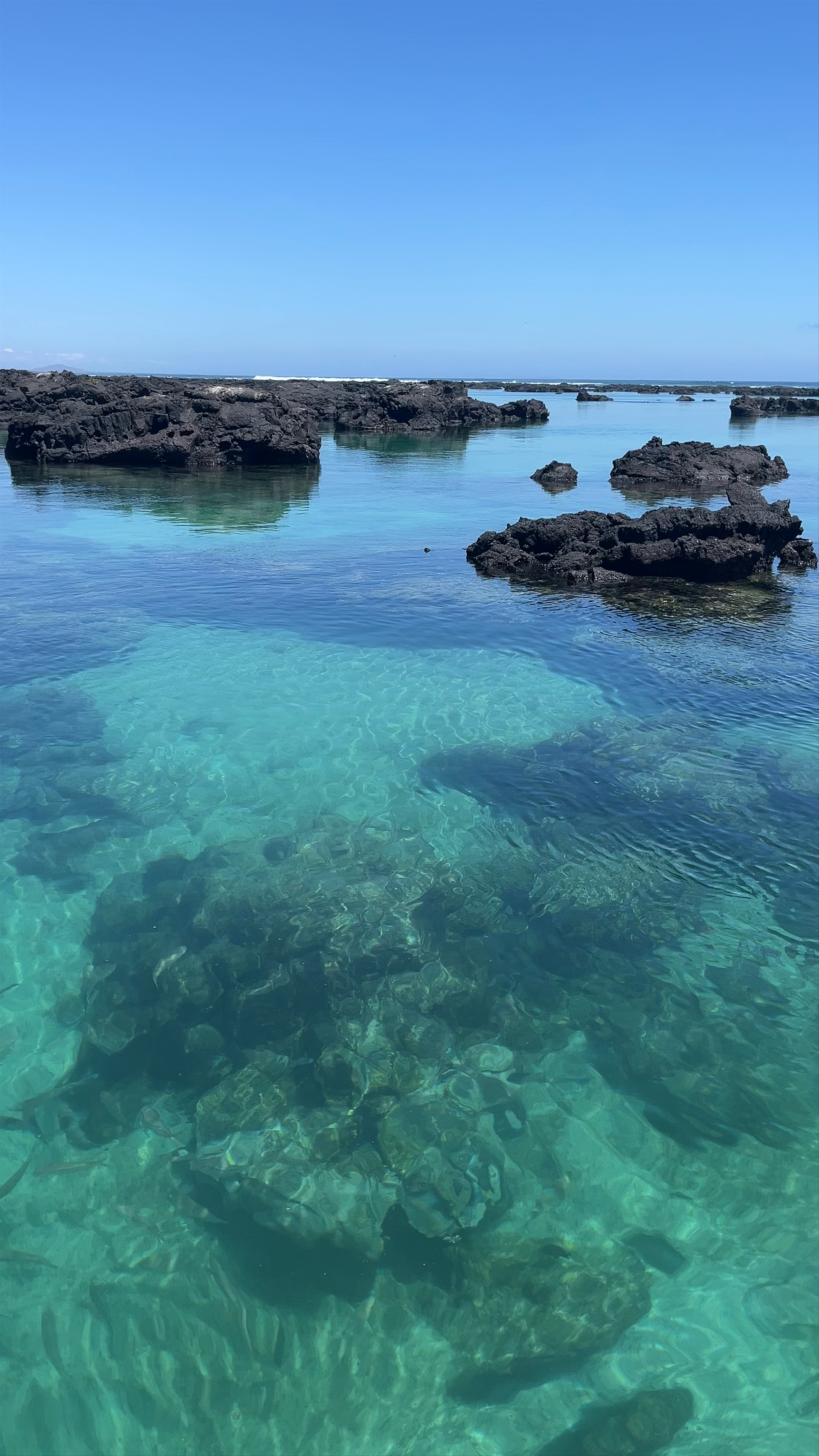 Los Túneles: Crystal Clear Waters and Dramatic Lava Formations in Galápagos