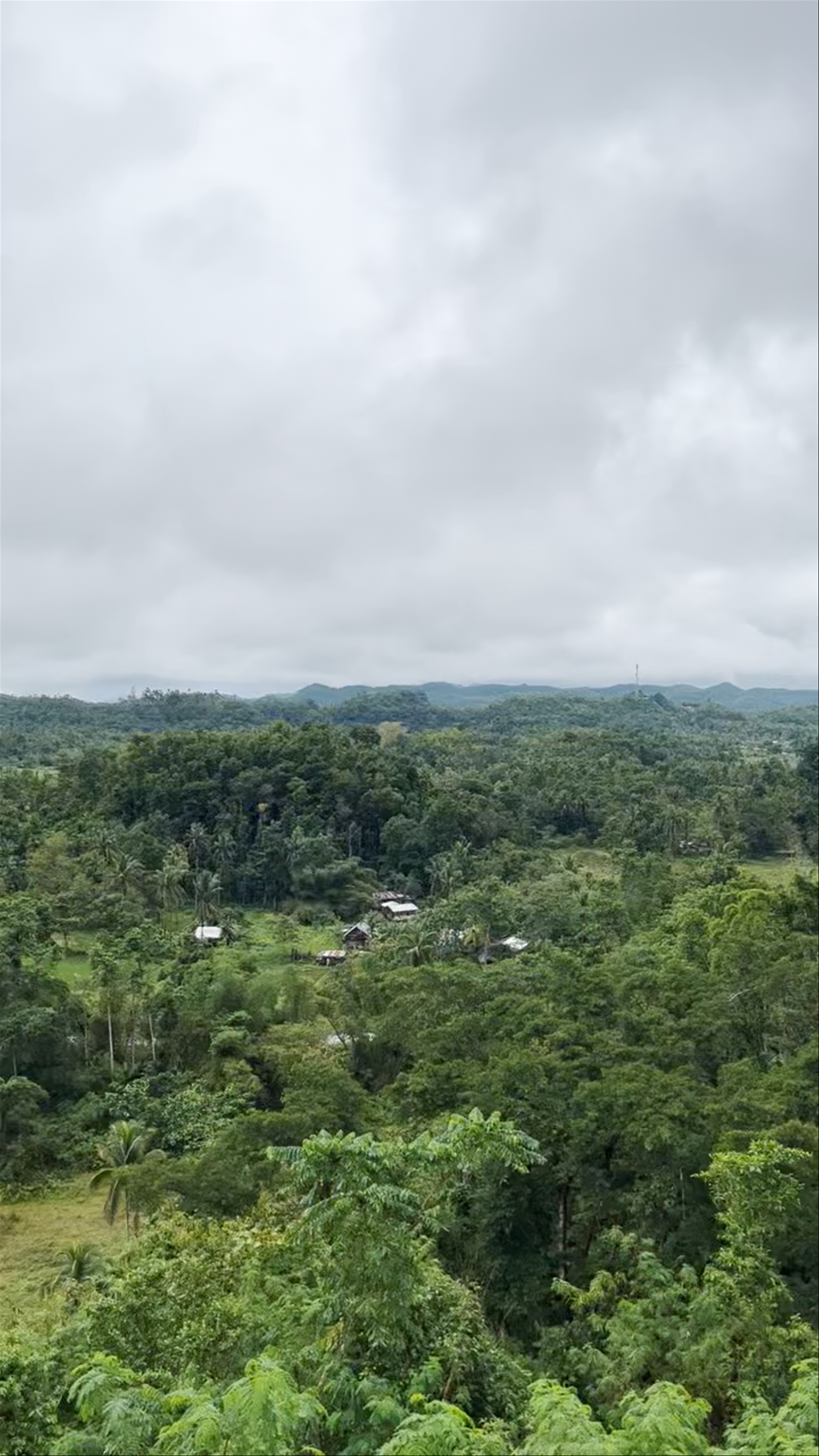 Chocolate Hills View Point