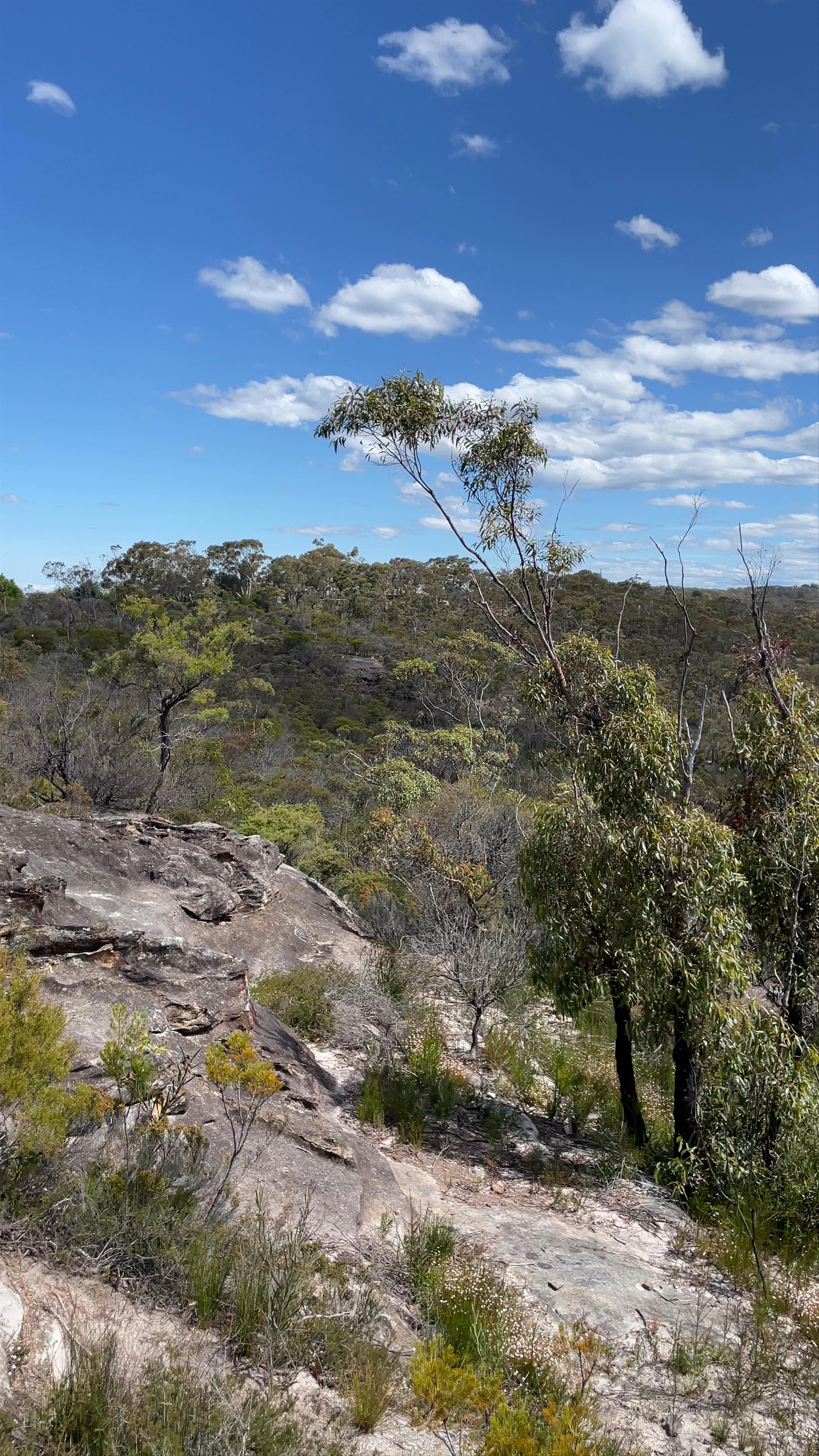 Blue Mountains National Park