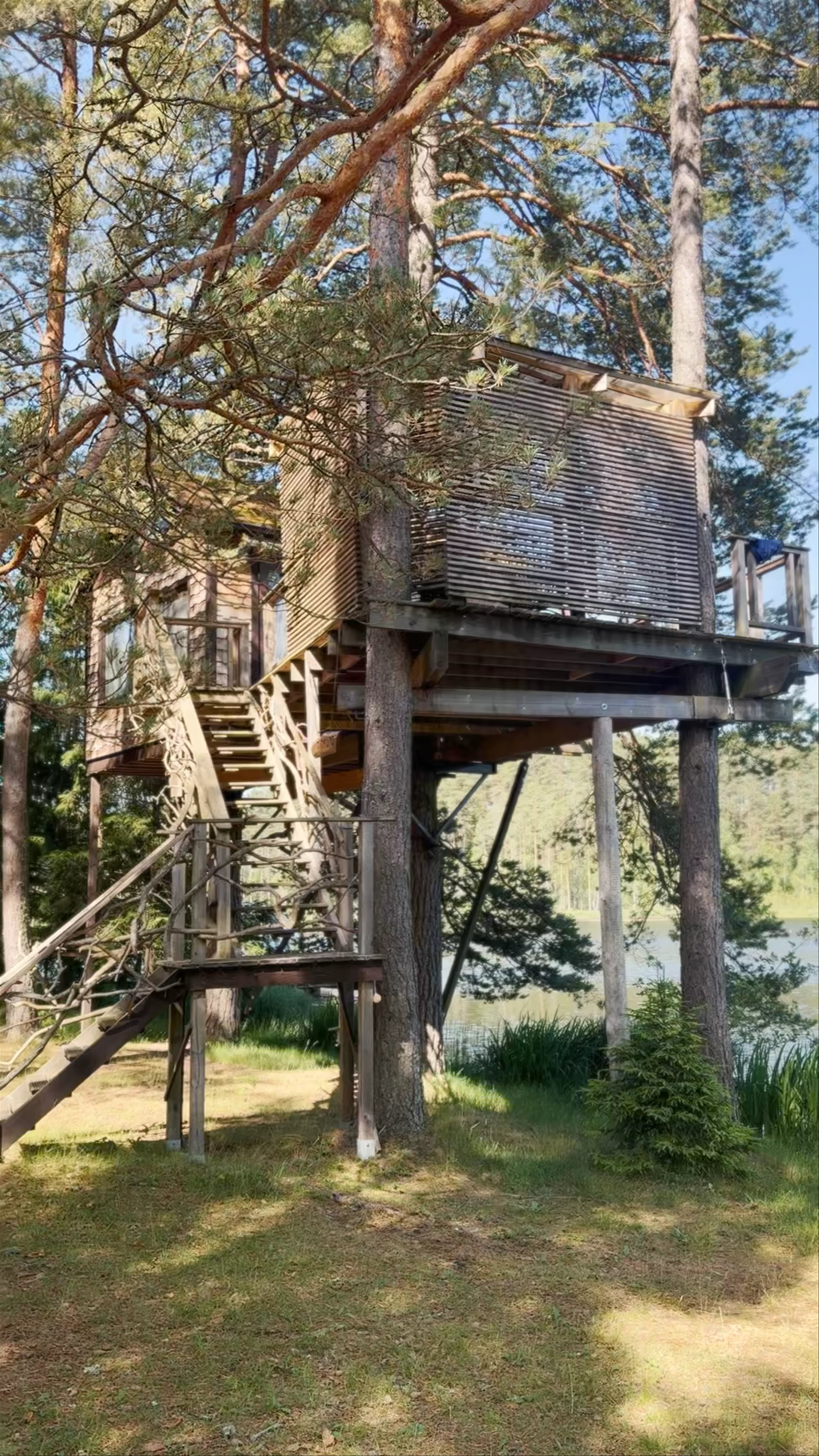 Māja kokā "Čiekurs" un "Baltais čiekurs", Lobēlijas, Priekuļi Parish, Cēsis Municipality, Latvia