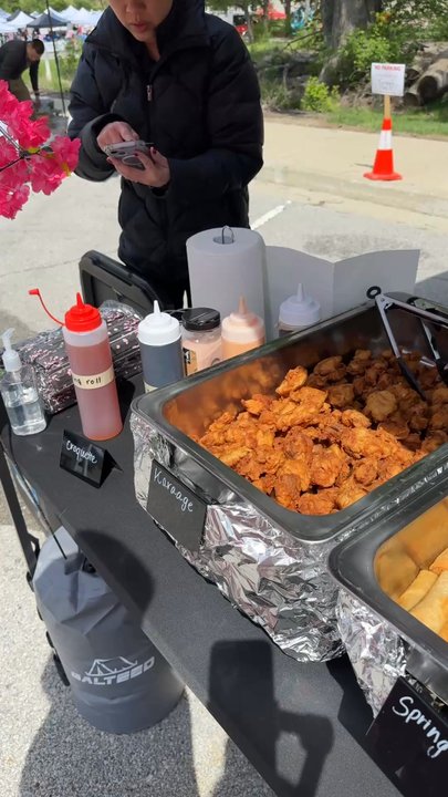 Japan Spring Festival - Festivals Near Me - Carmel, Indiana